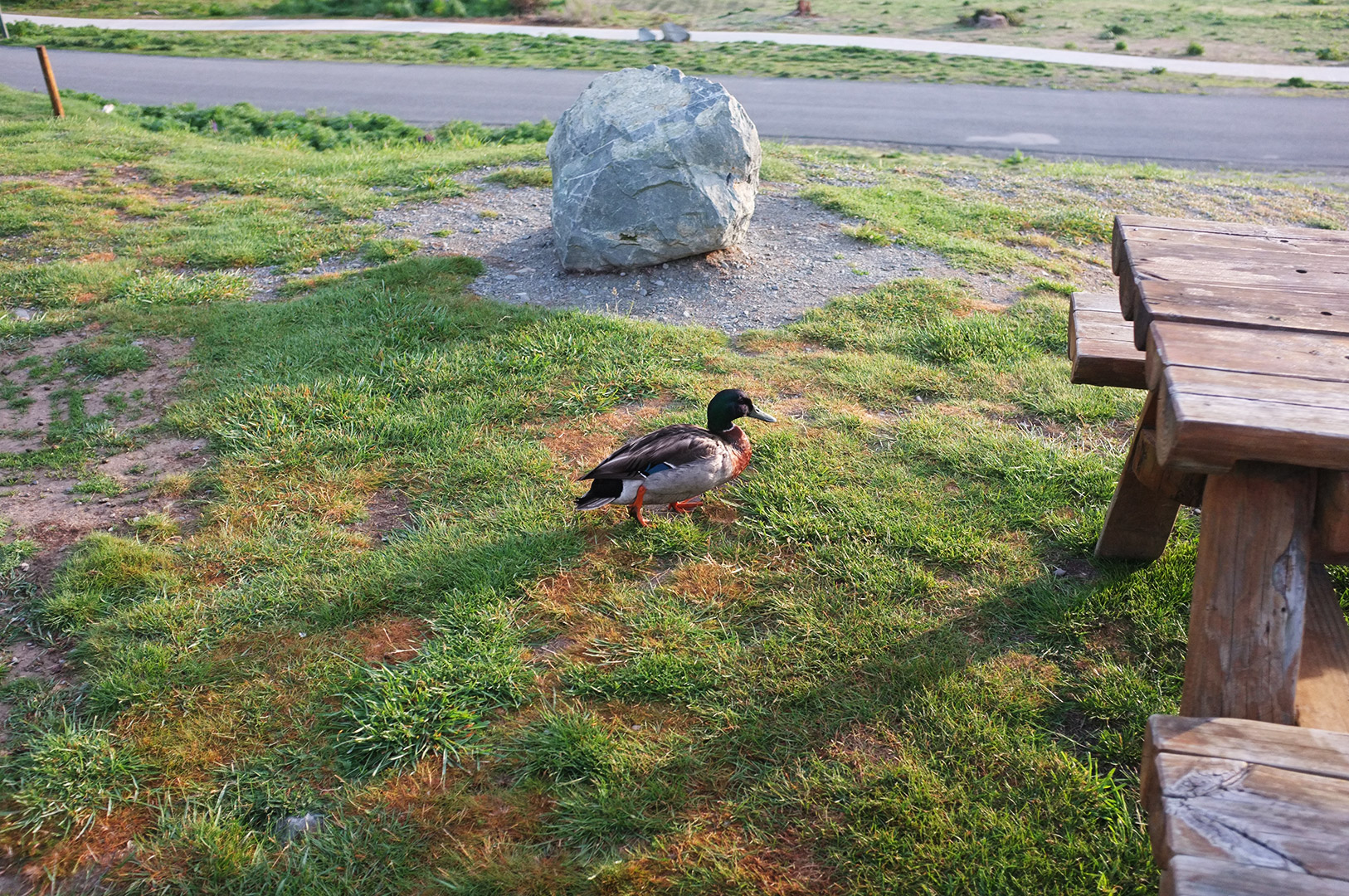 14 Hari Di New Zealand