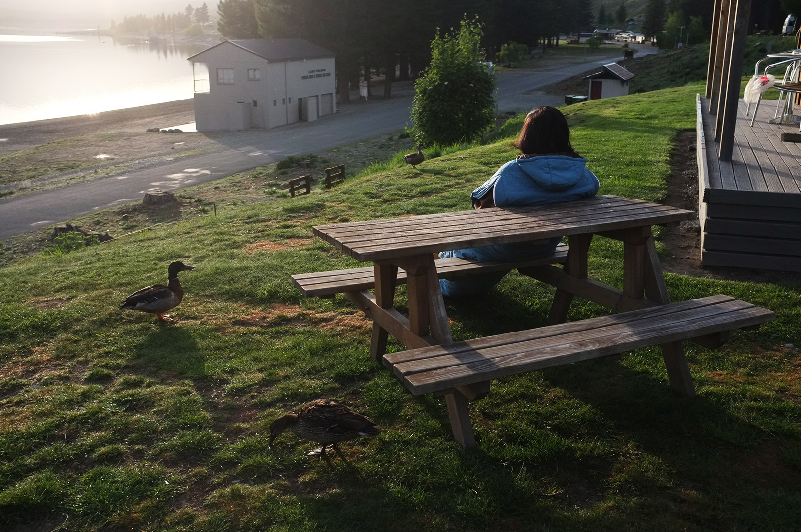 14 Hari Di New Zealand