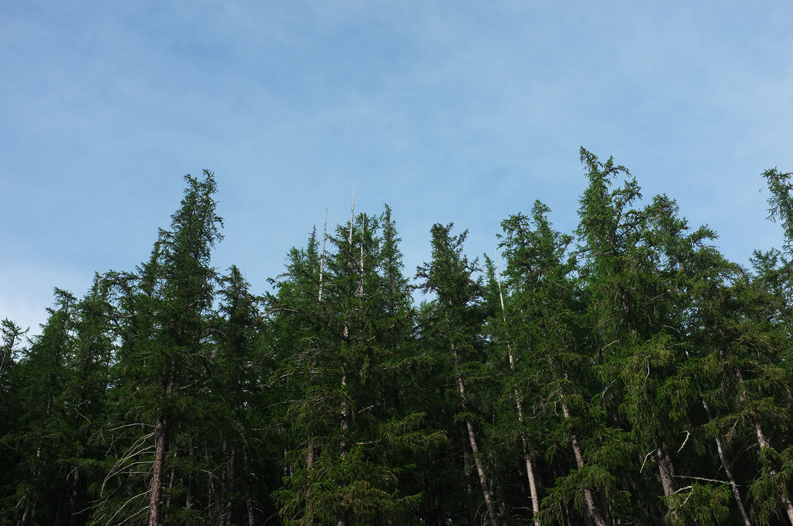 14 Hari Di New Zealand