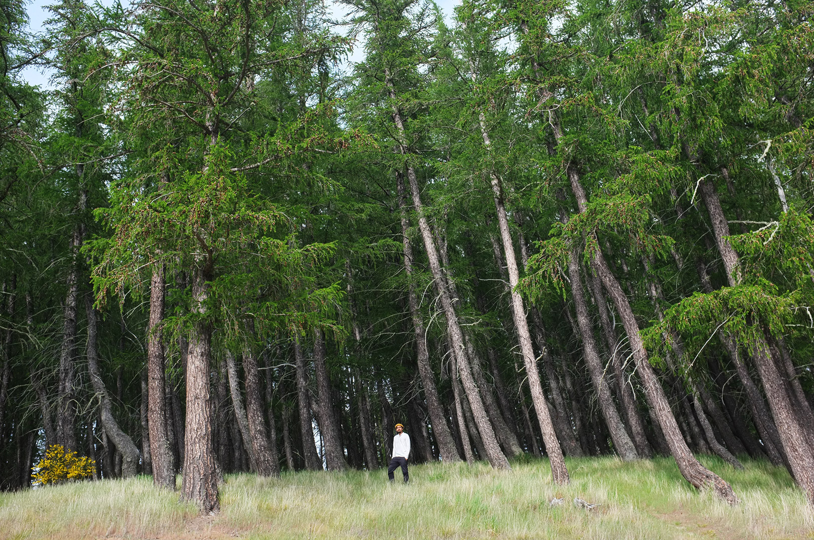 14 Hari Di New Zealand