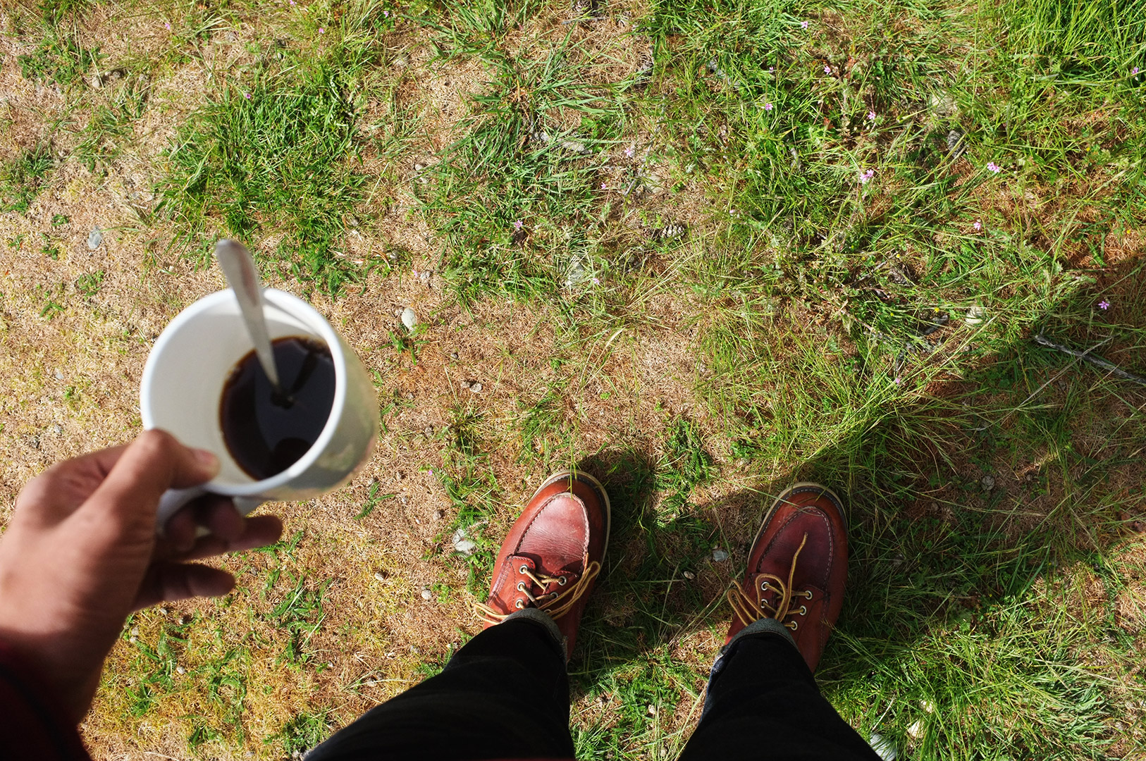 14 Hari Di New Zealand