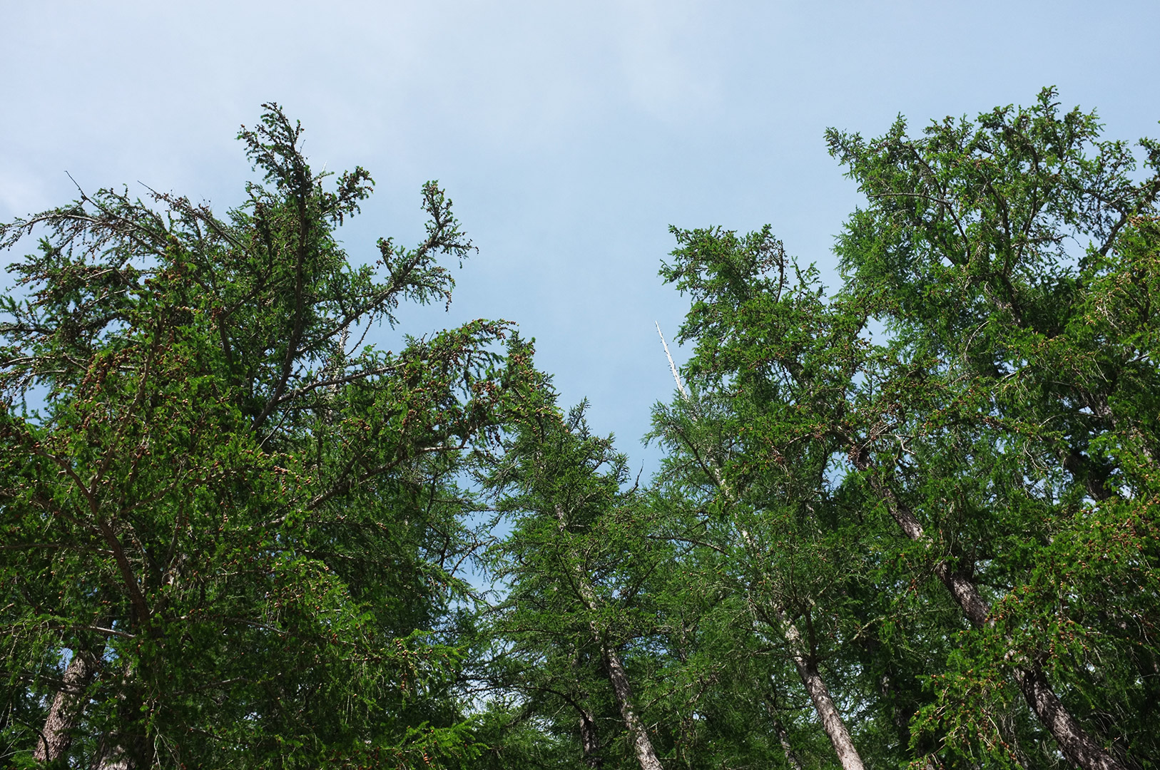 14 Hari Di New Zealand