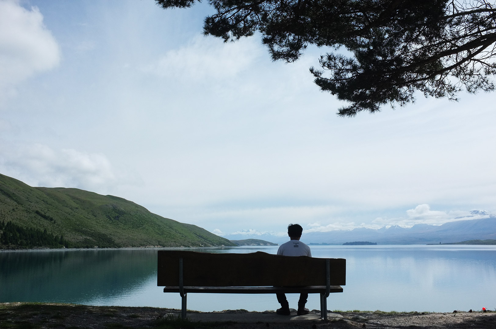 14 Hari Di New Zealand