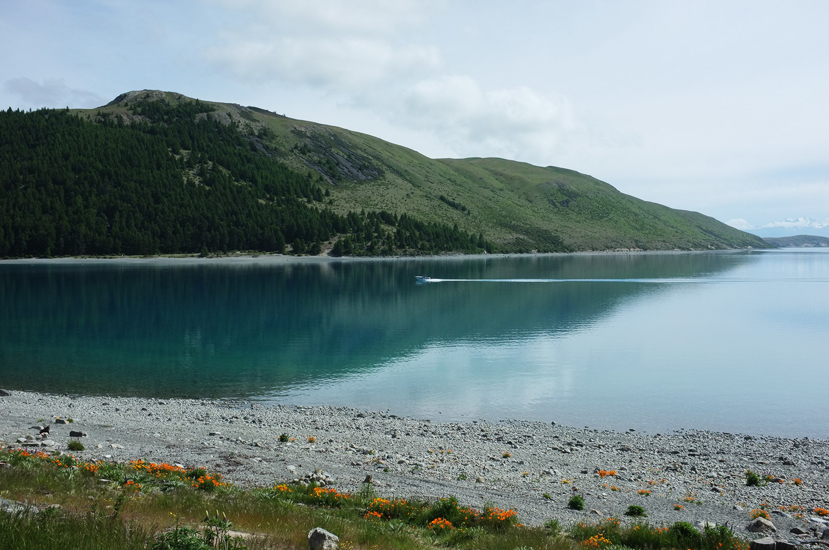 14 Hari Di New Zealand