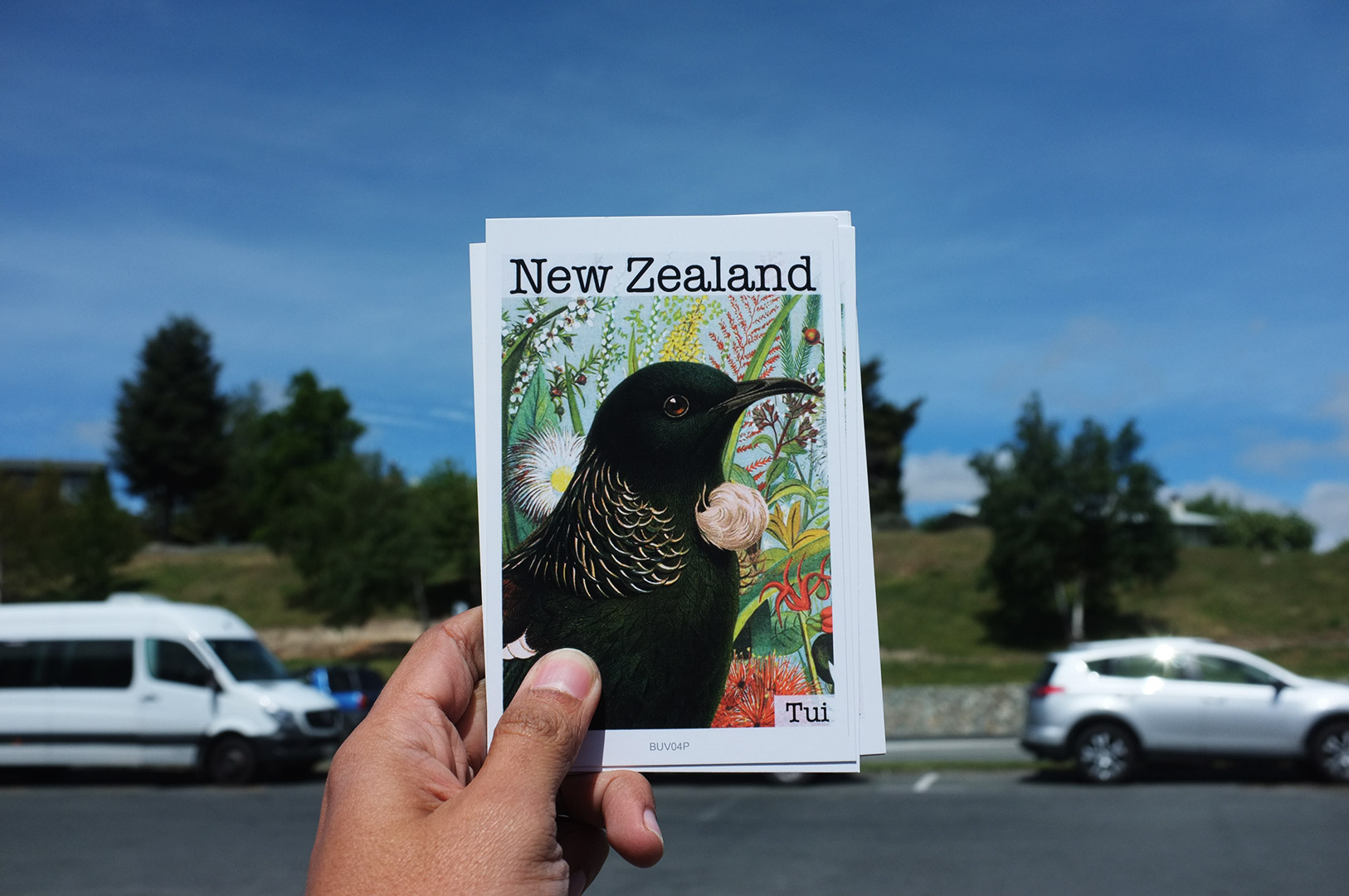 14 Hari Di New Zealand