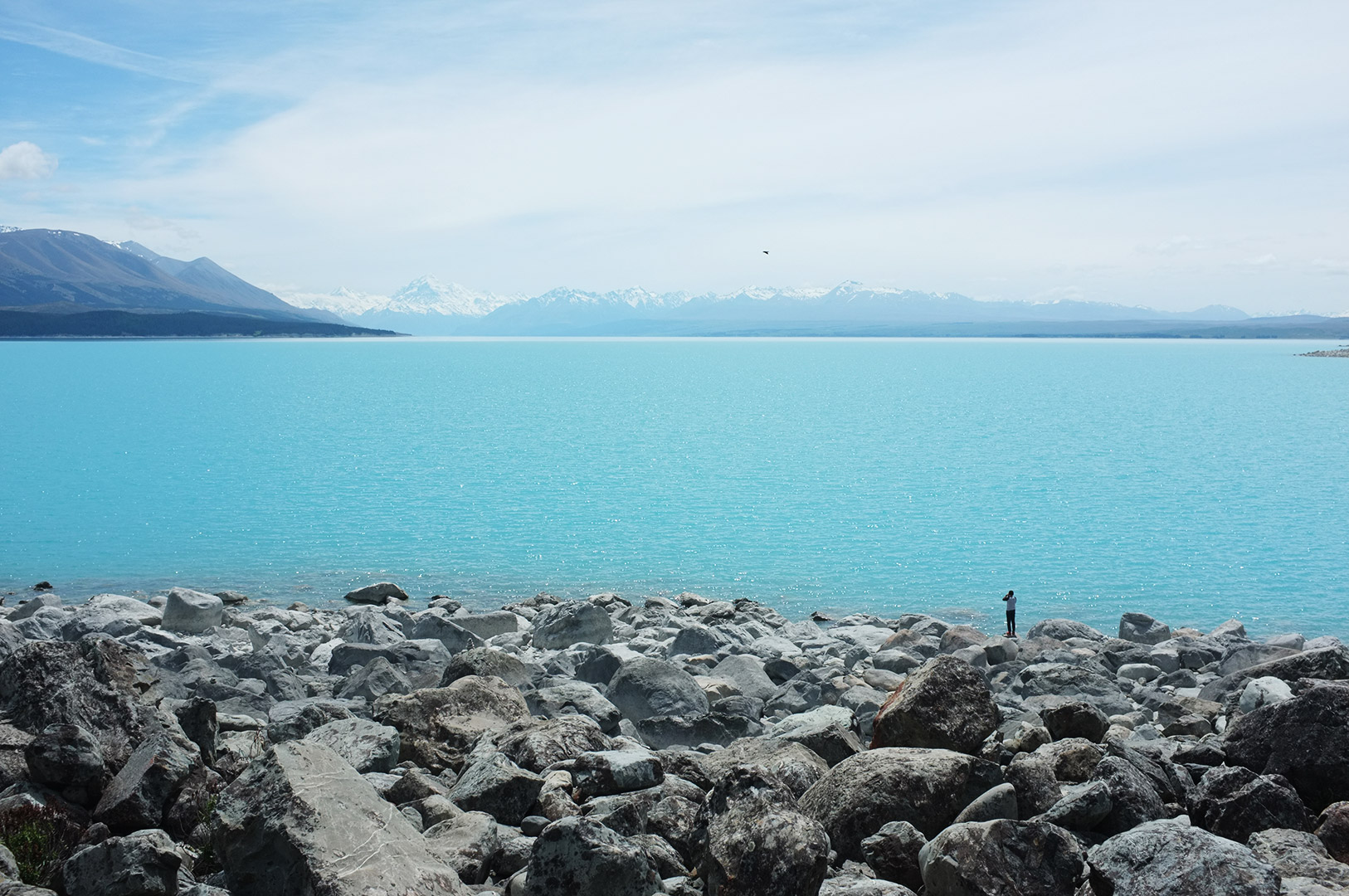 14 Hari Di New Zealand