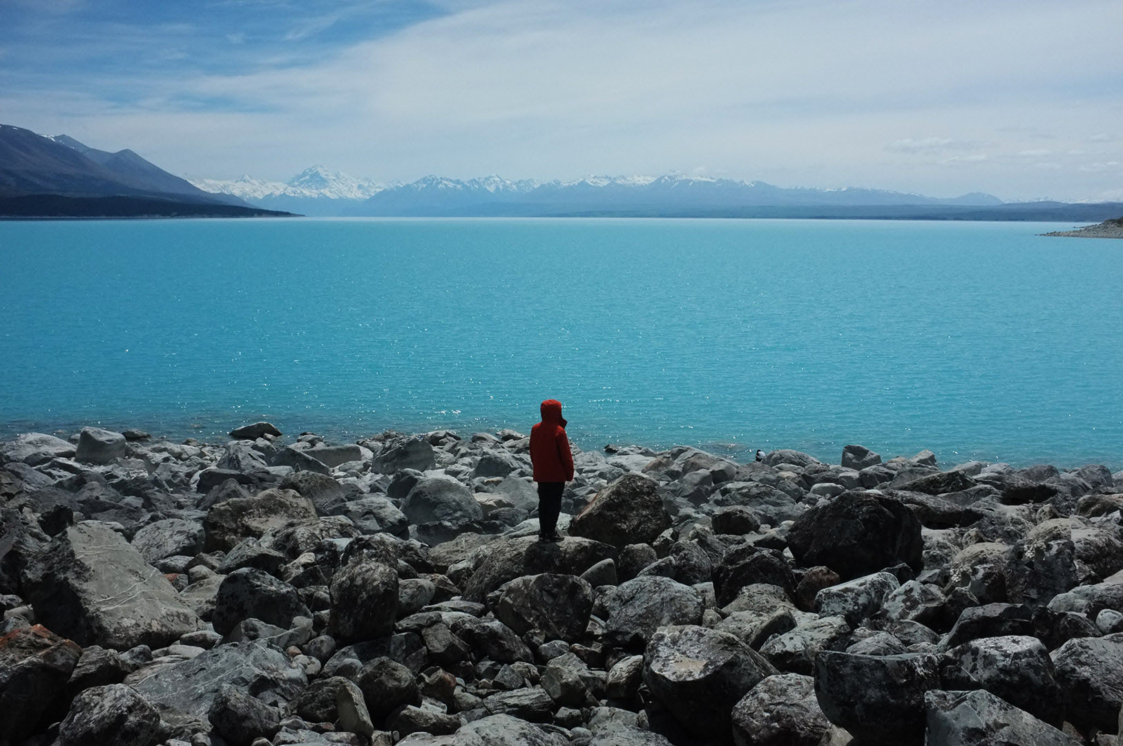 14 Hari Di New Zealand