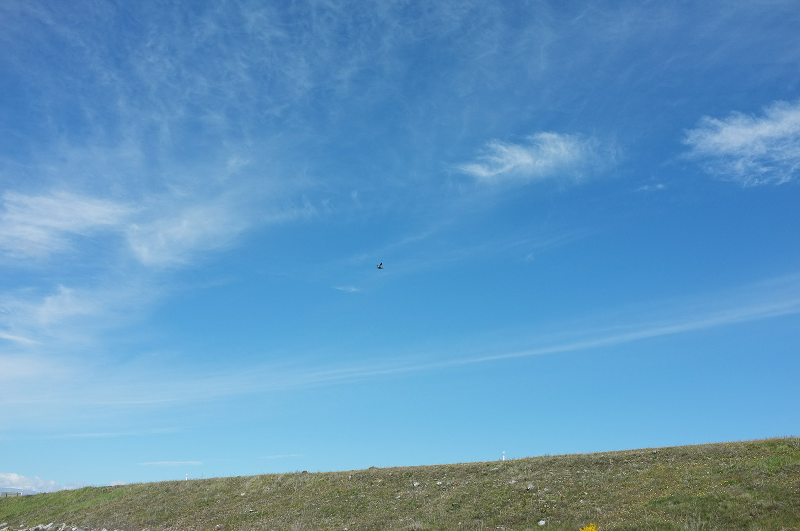 14 Hari Di New Zealand