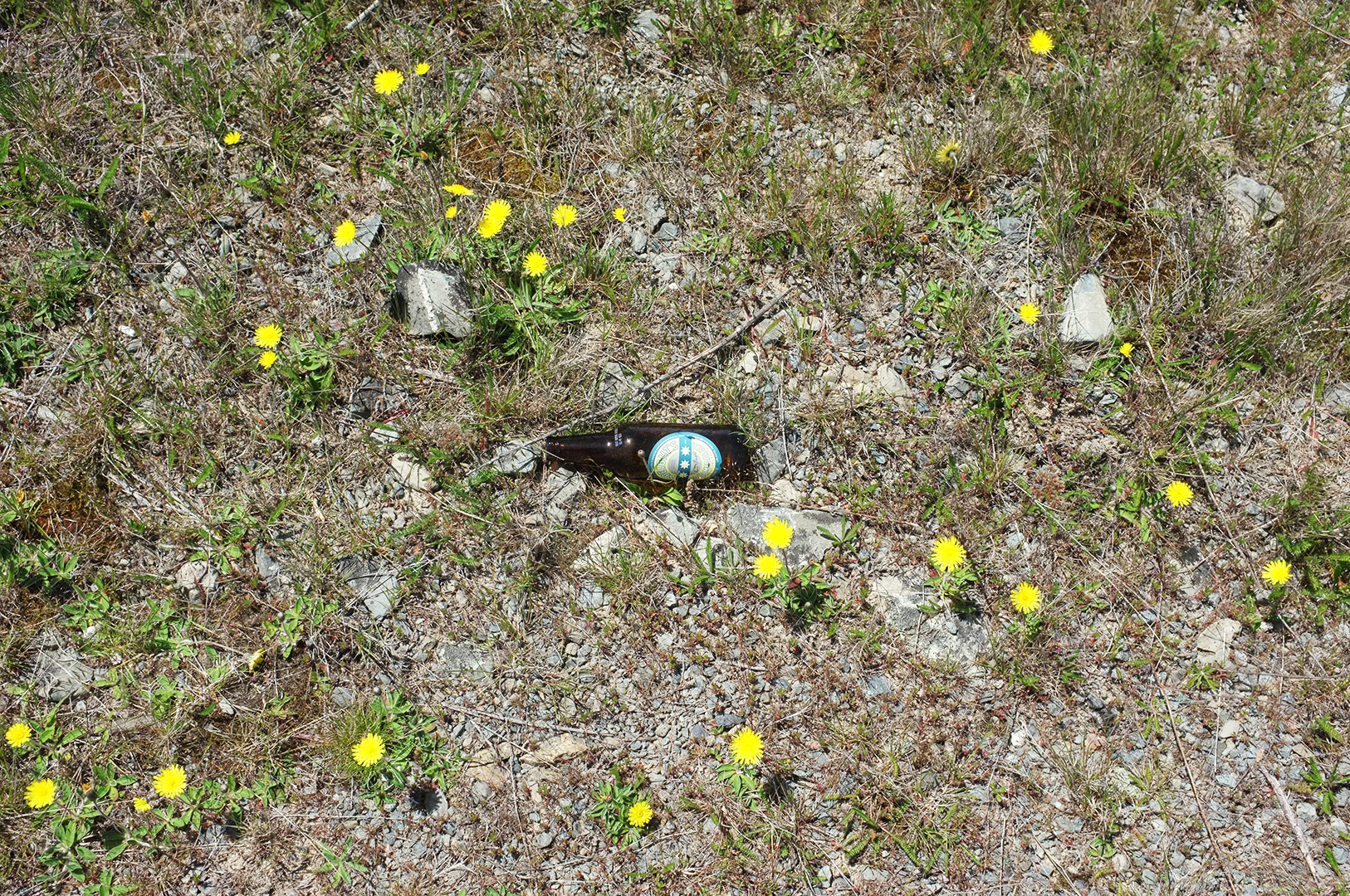 14 Hari Di New Zealand