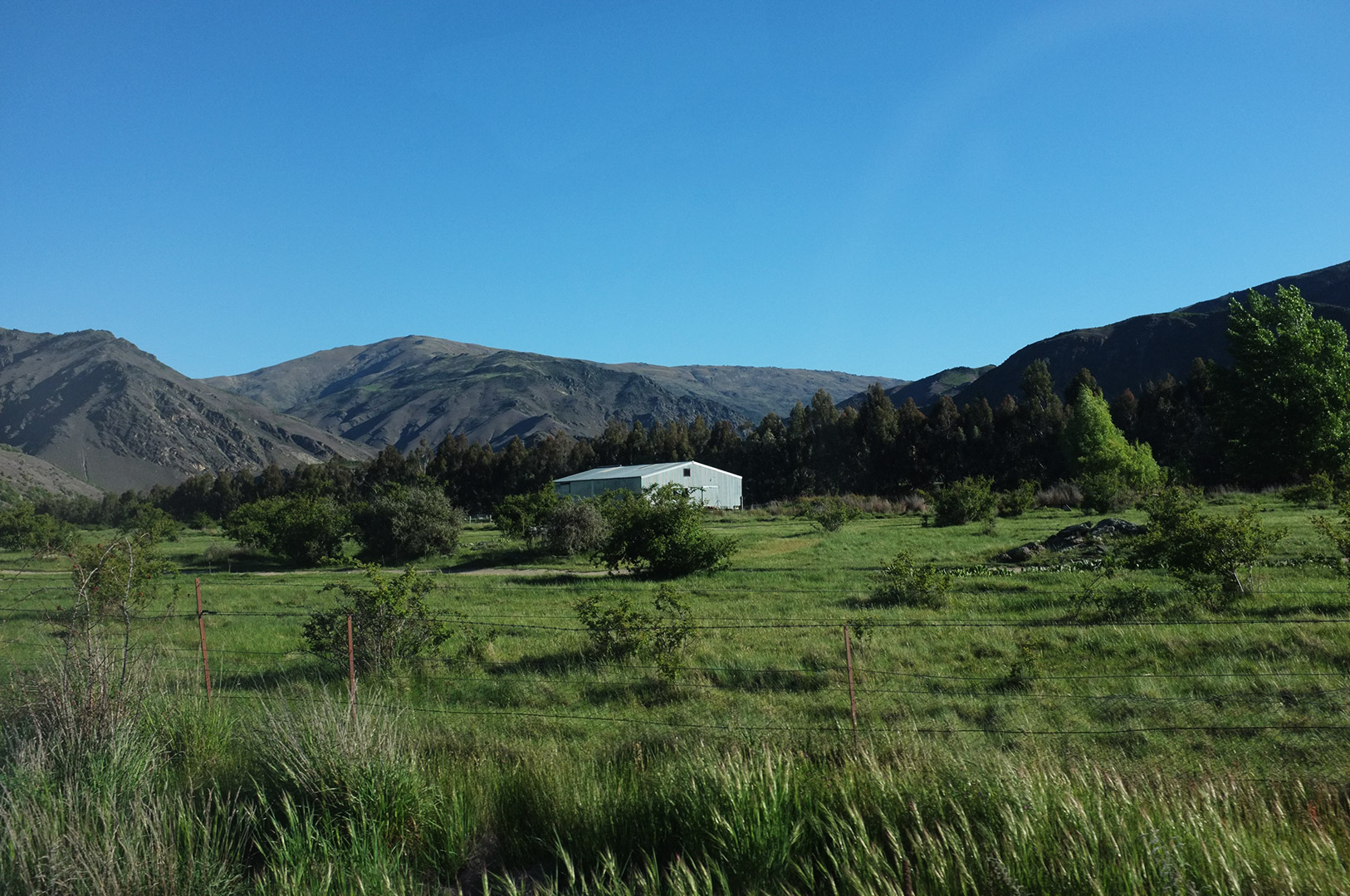 14 Hari Di New Zealand