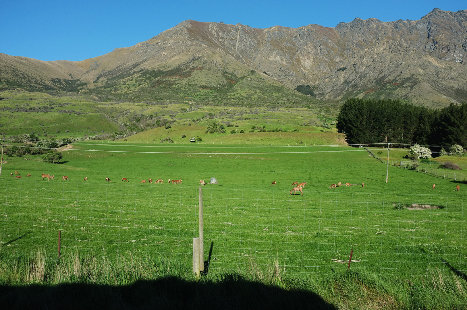 14 Hari Di New Zealand