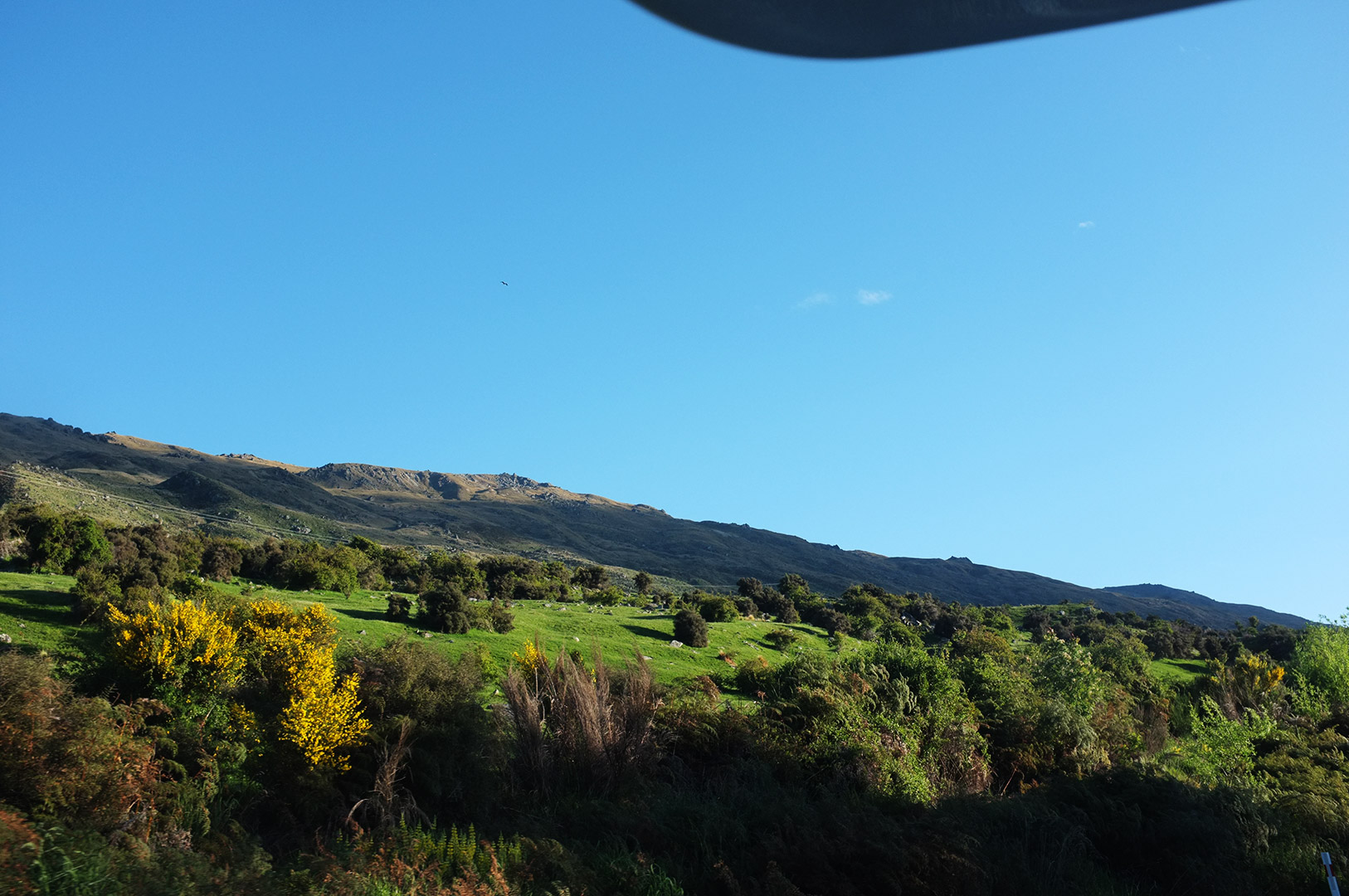 14 Hari Di New Zealand