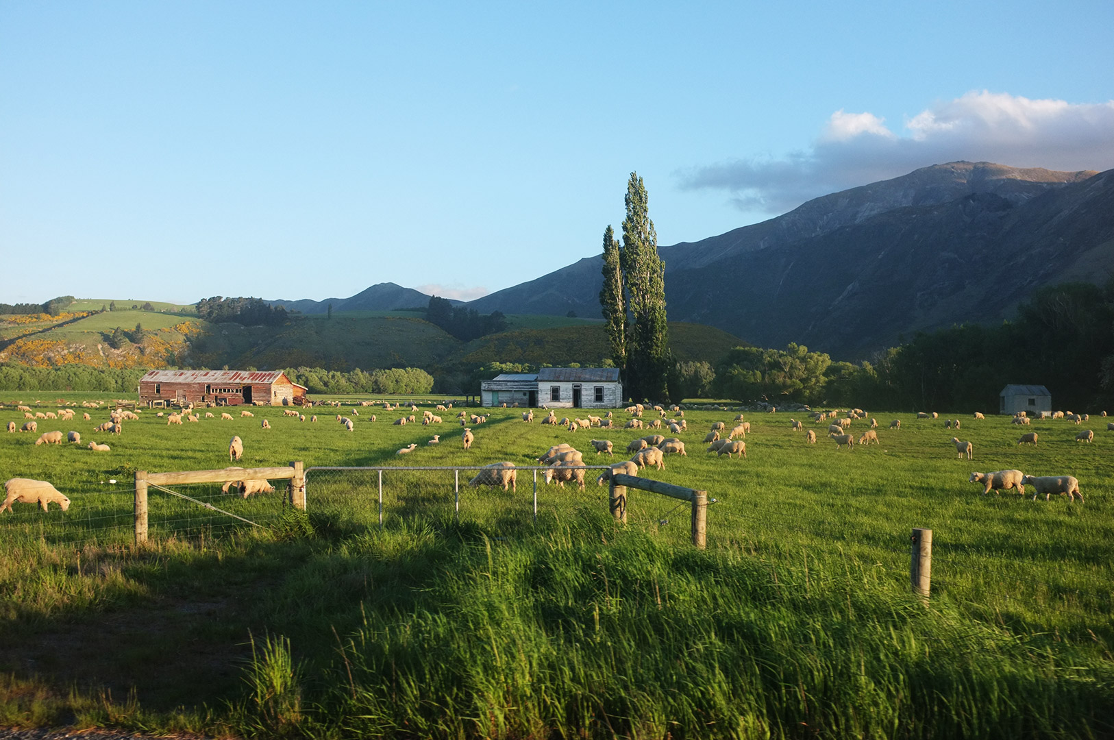 14 Hari Di New Zealand