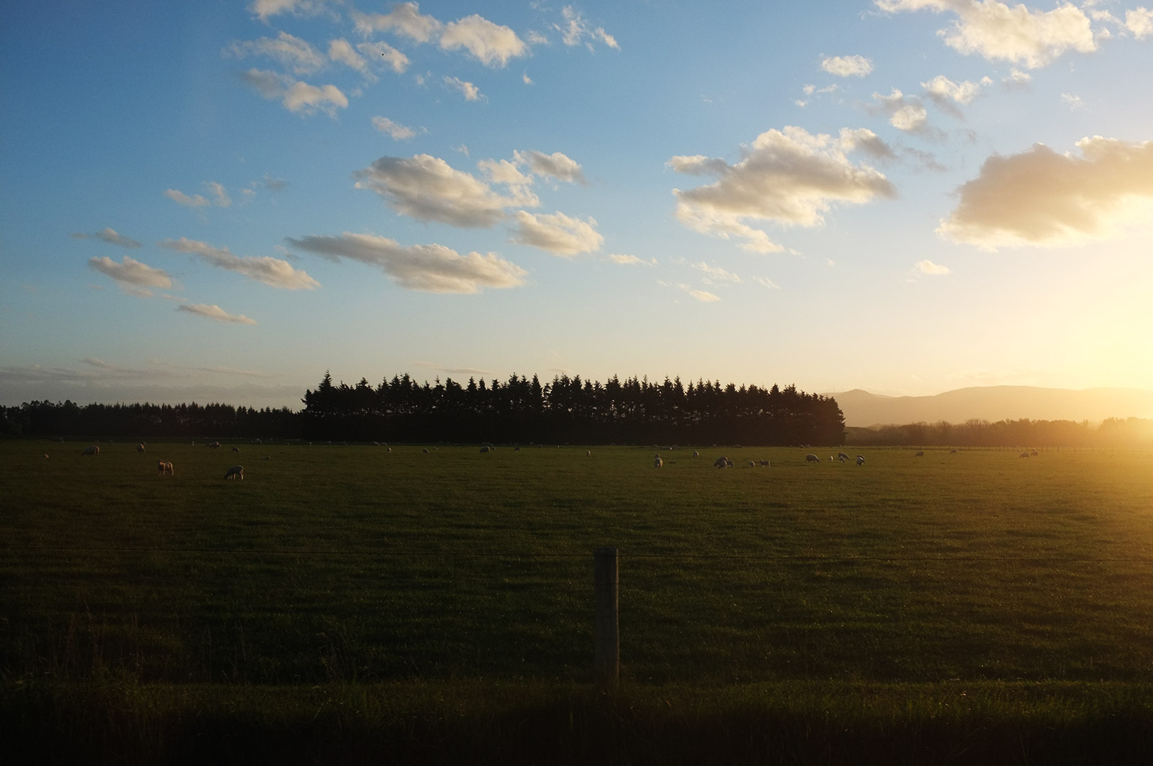 14 Hari Di New Zealand