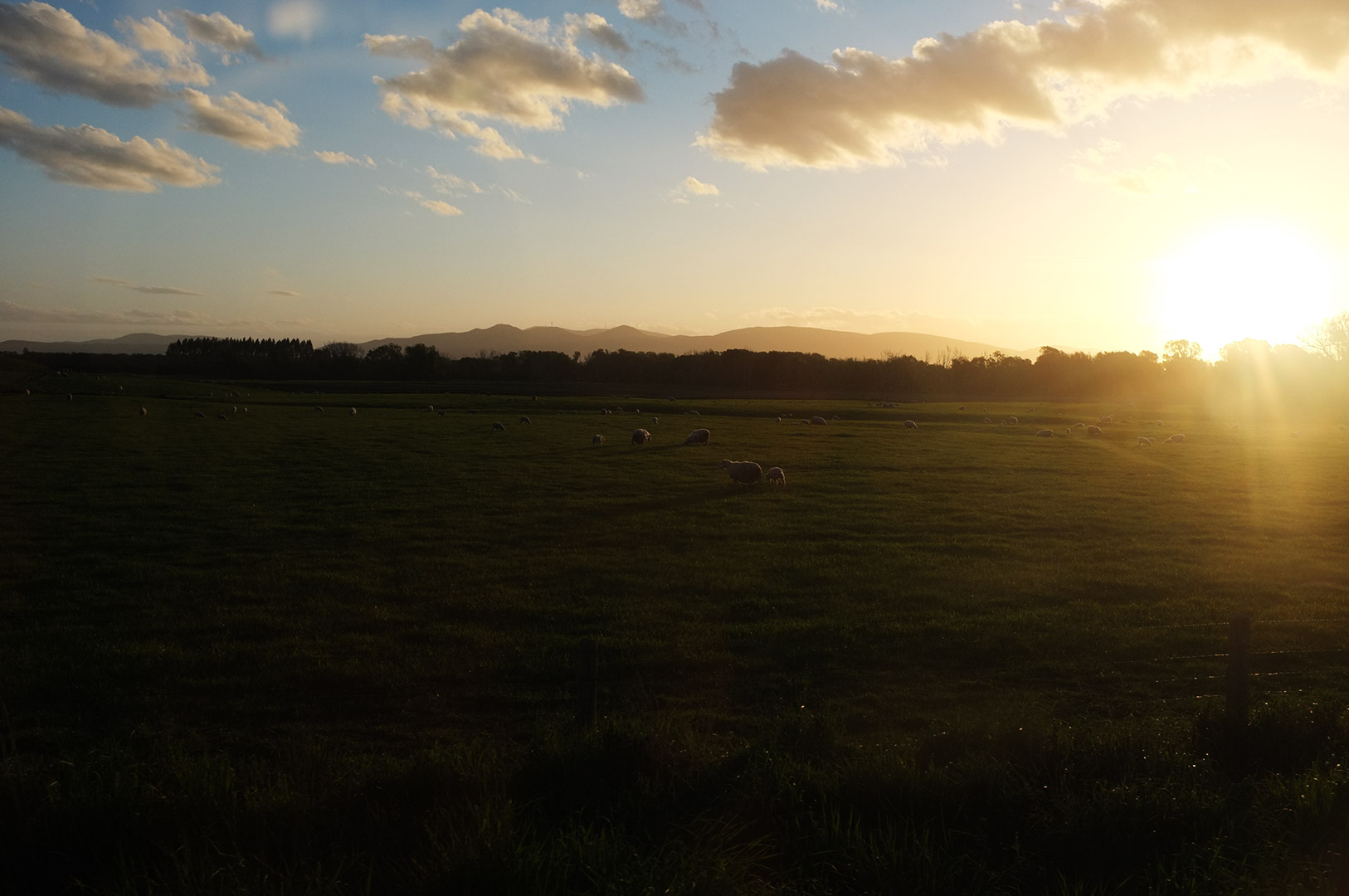 14 Hari Di New Zealand