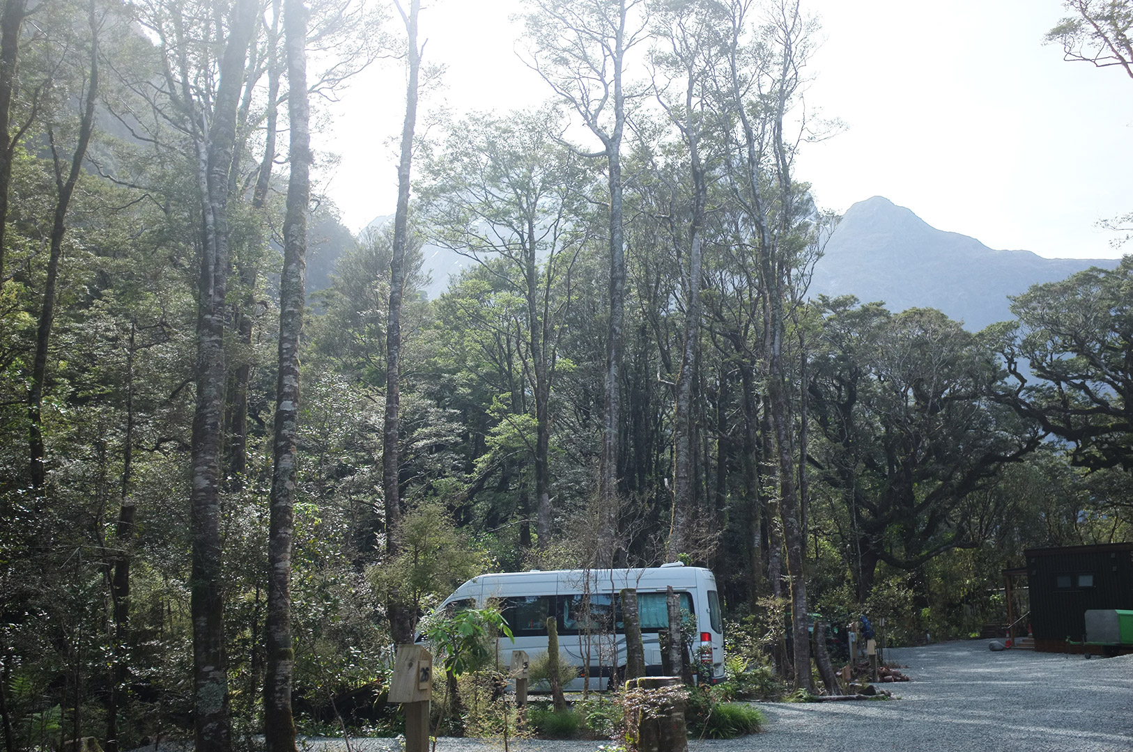 14 Hari Di New Zealand