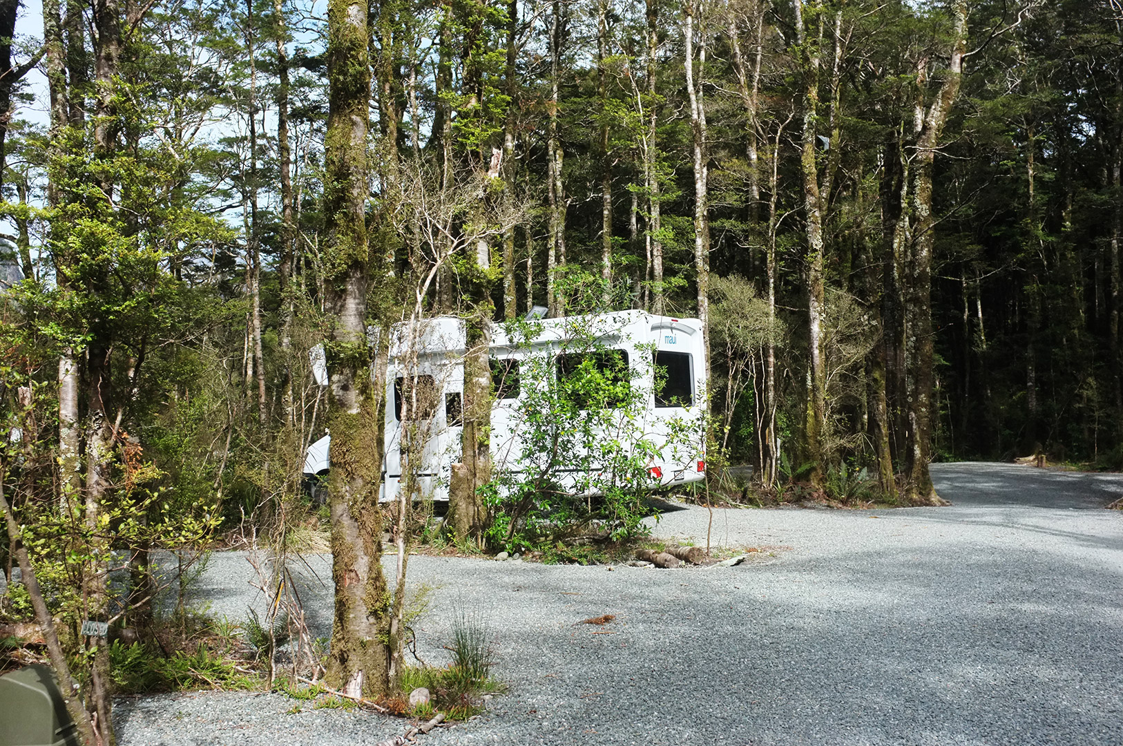 14 Hari Di New Zealand