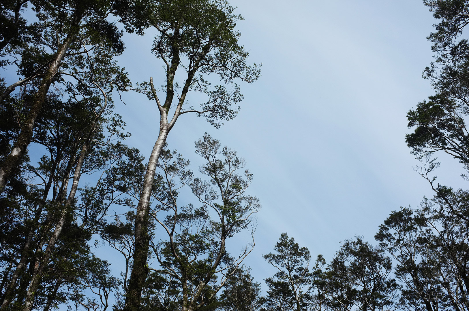 14 Hari Di New Zealand