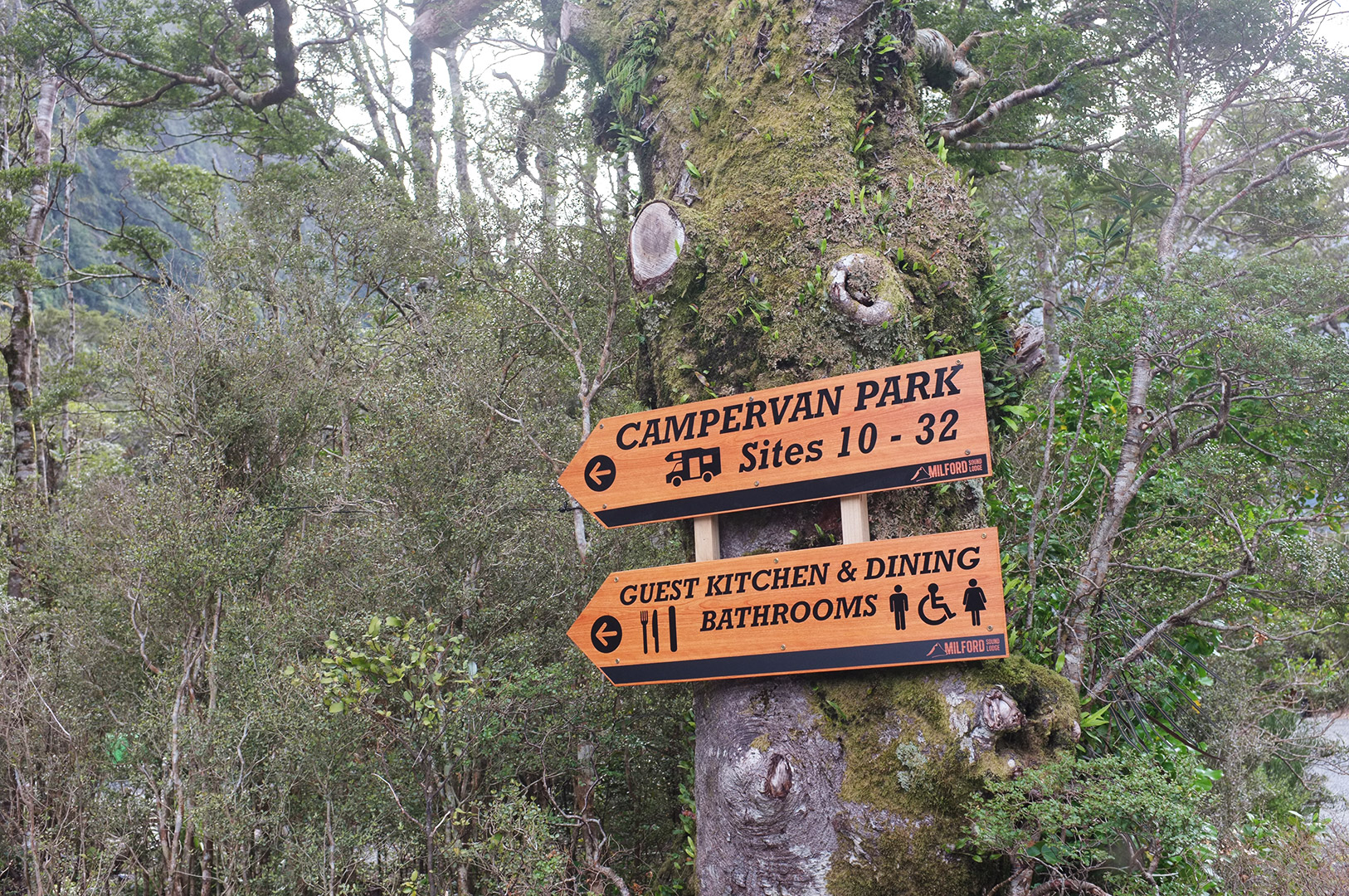 14 Hari Di New Zealand