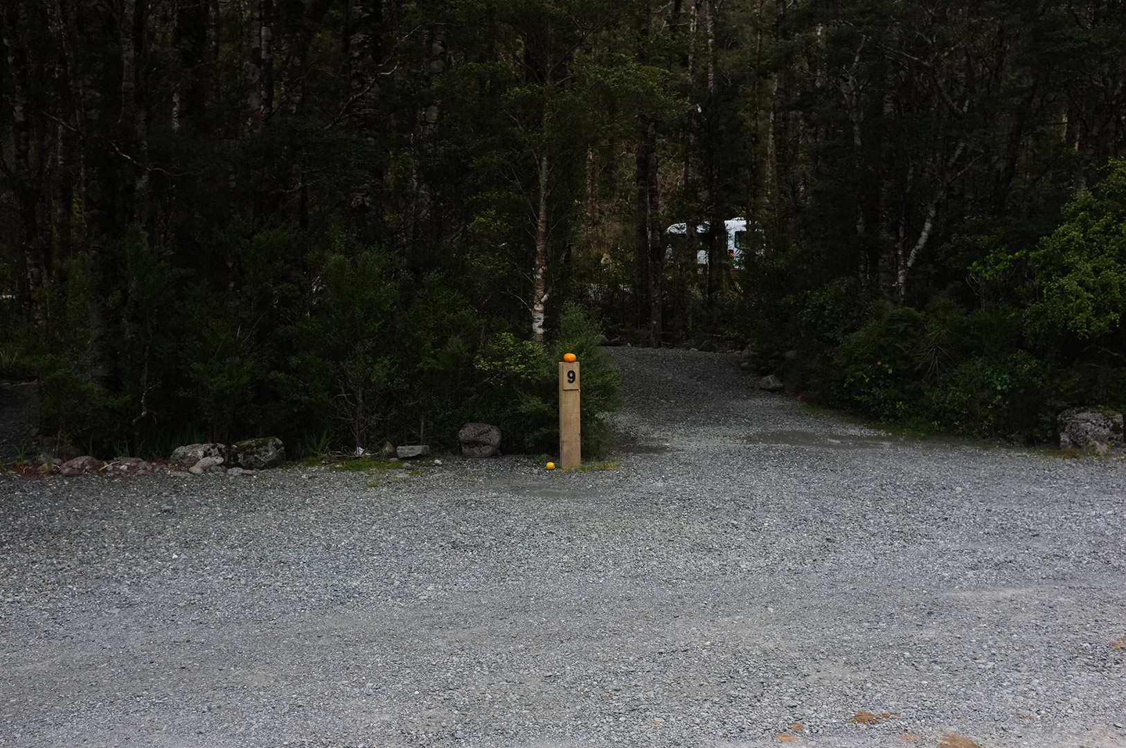 14 Hari Di New Zealand