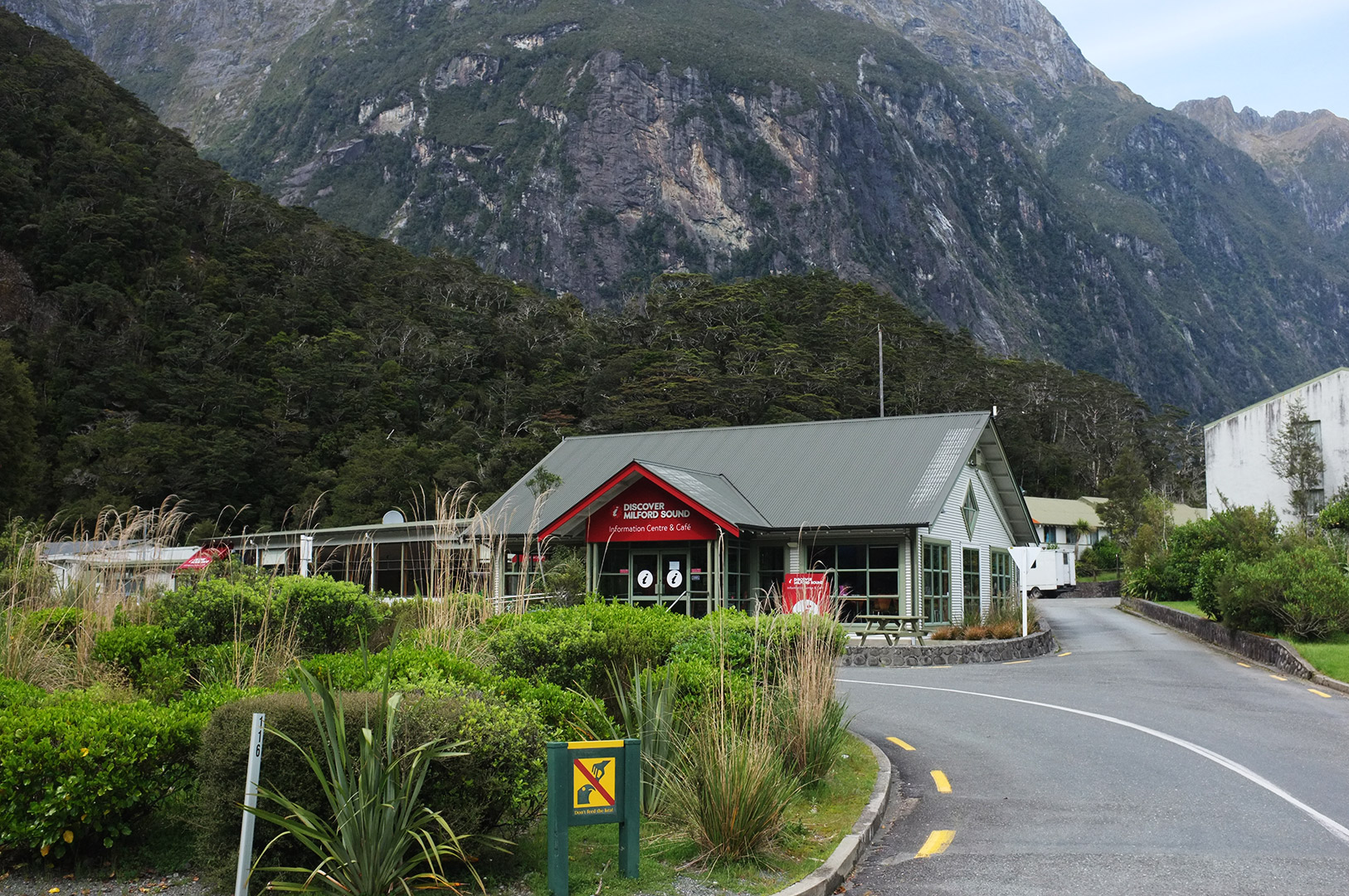 14 Hari Di New Zealand