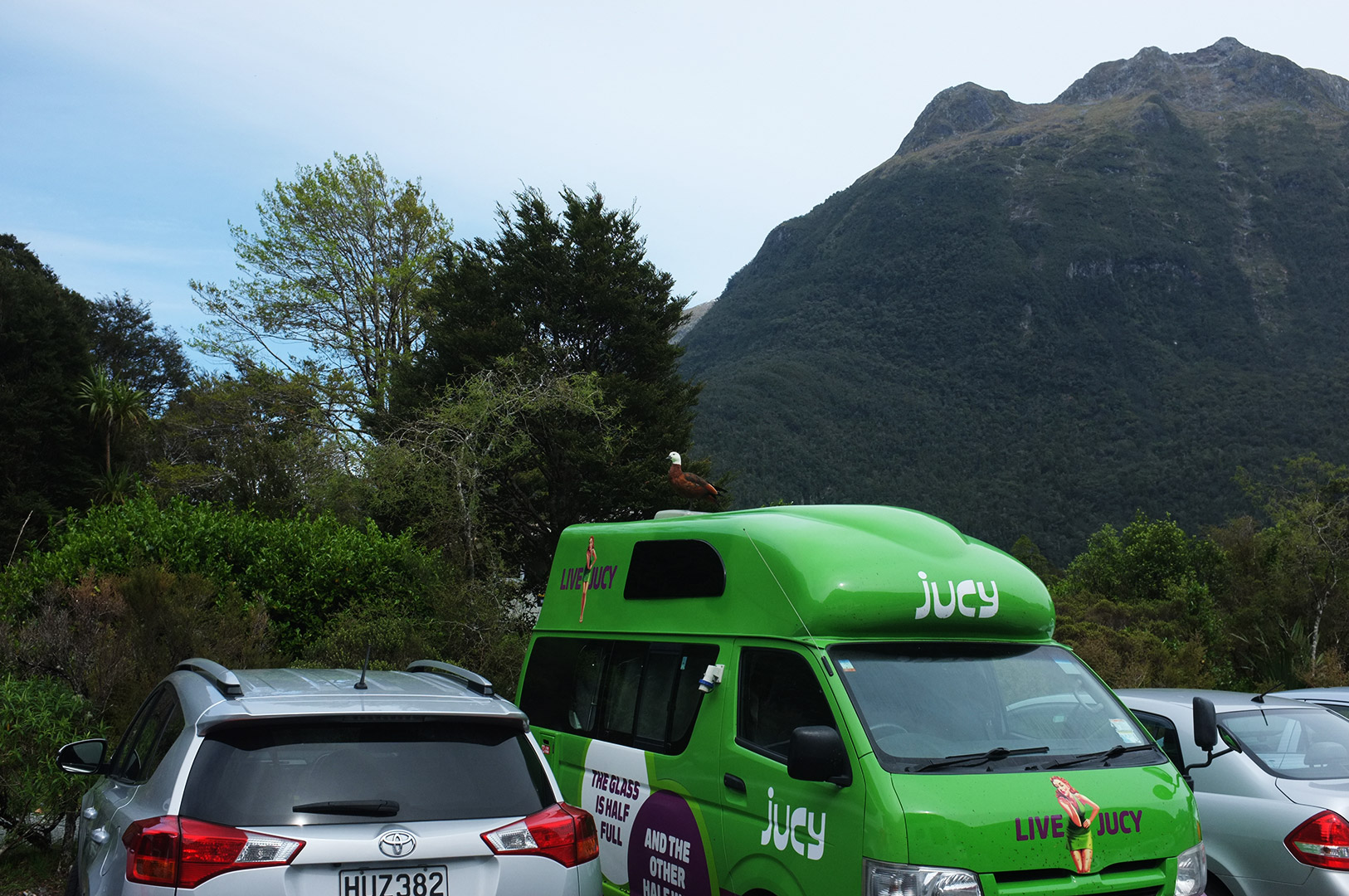 14 Hari Di New Zealand