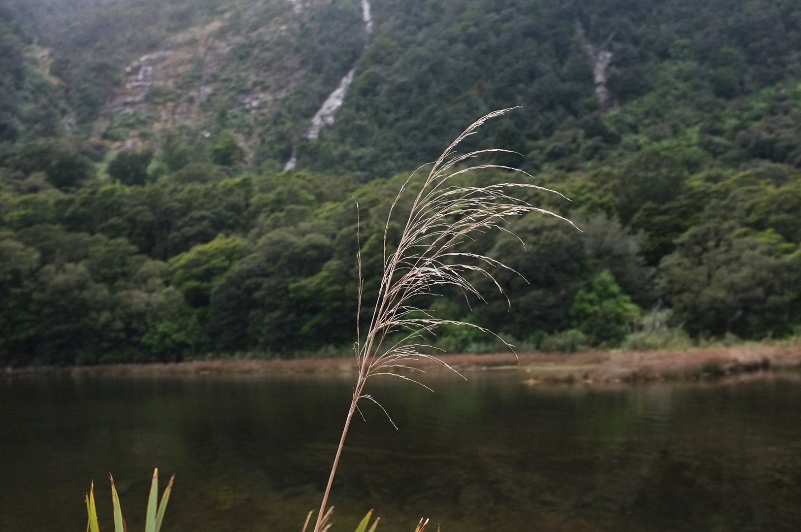 14 Hari Di New Zealand