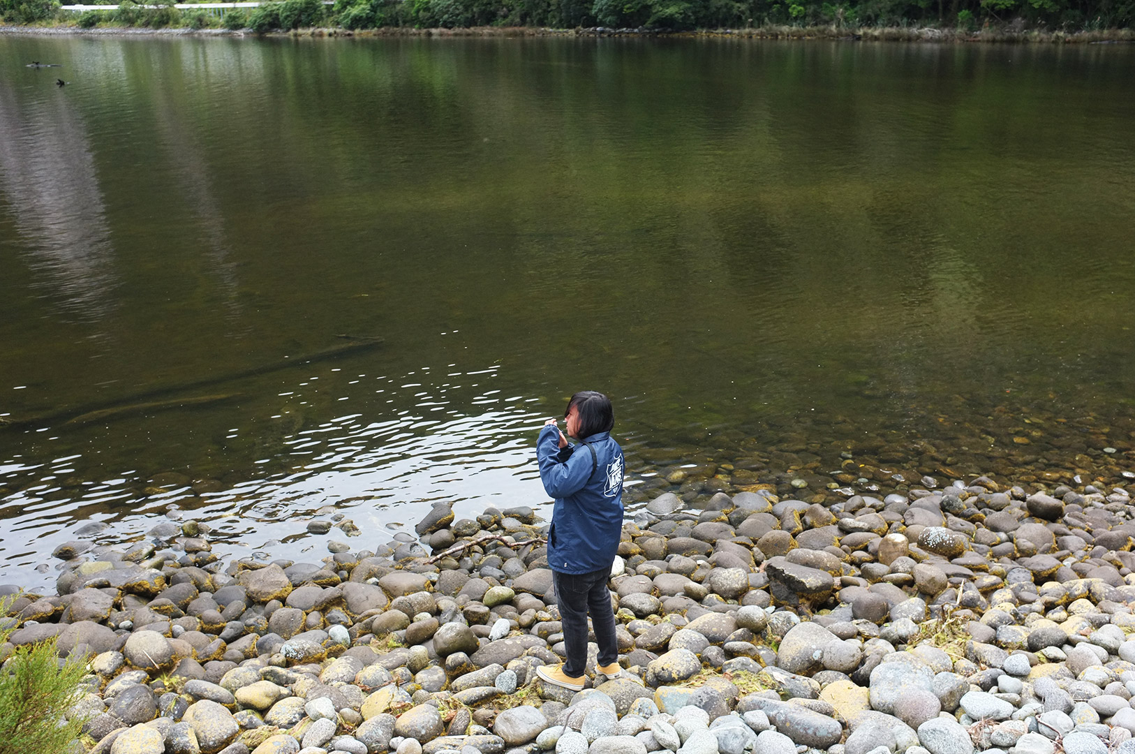 14 Hari Di New Zealand