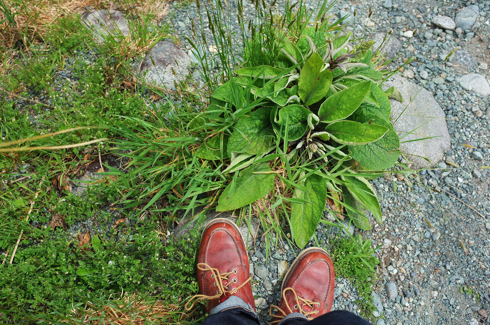 14 Hari Di New Zealand