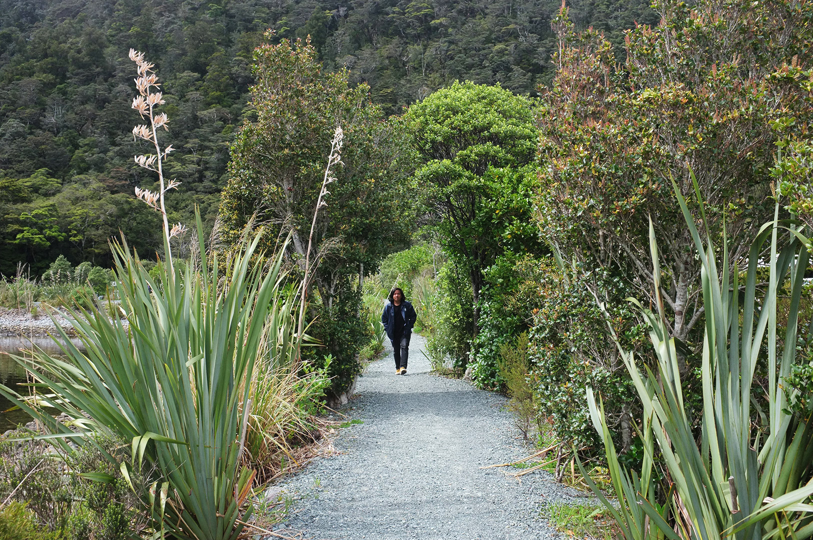 14 Hari Di New Zealand