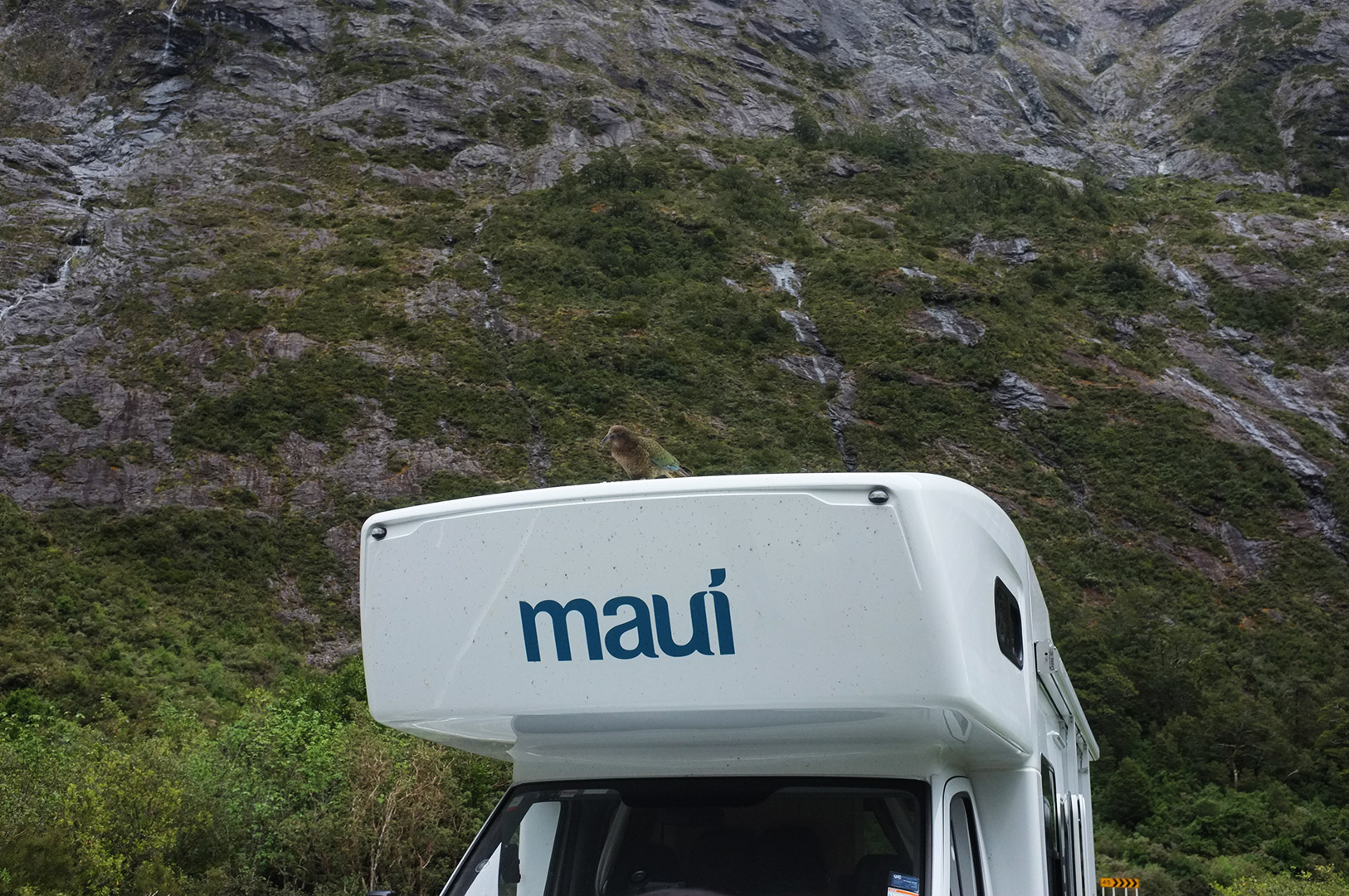 14 Hari Di New Zealand