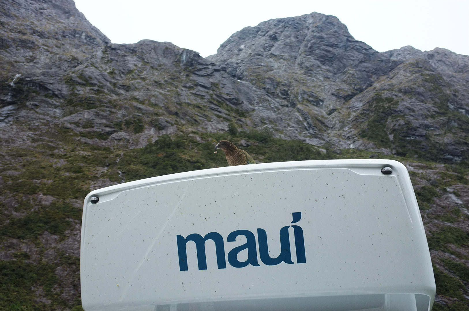 14 Hari Di New Zealand