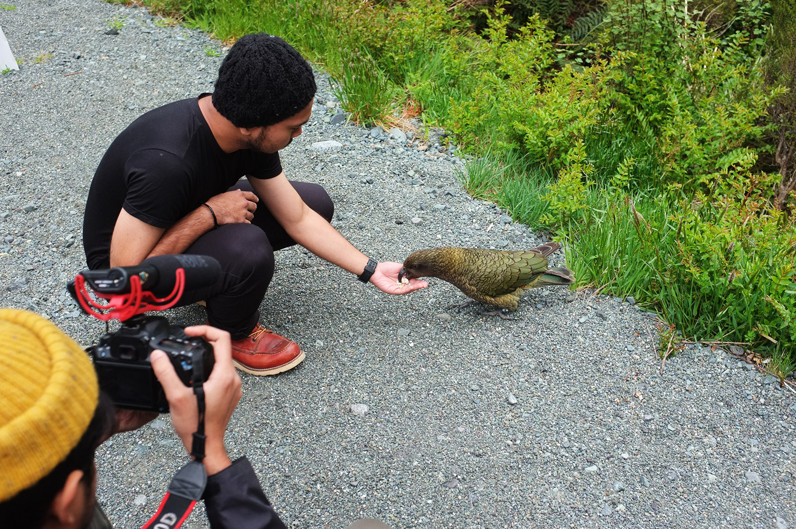 14 Hari Di New Zealand