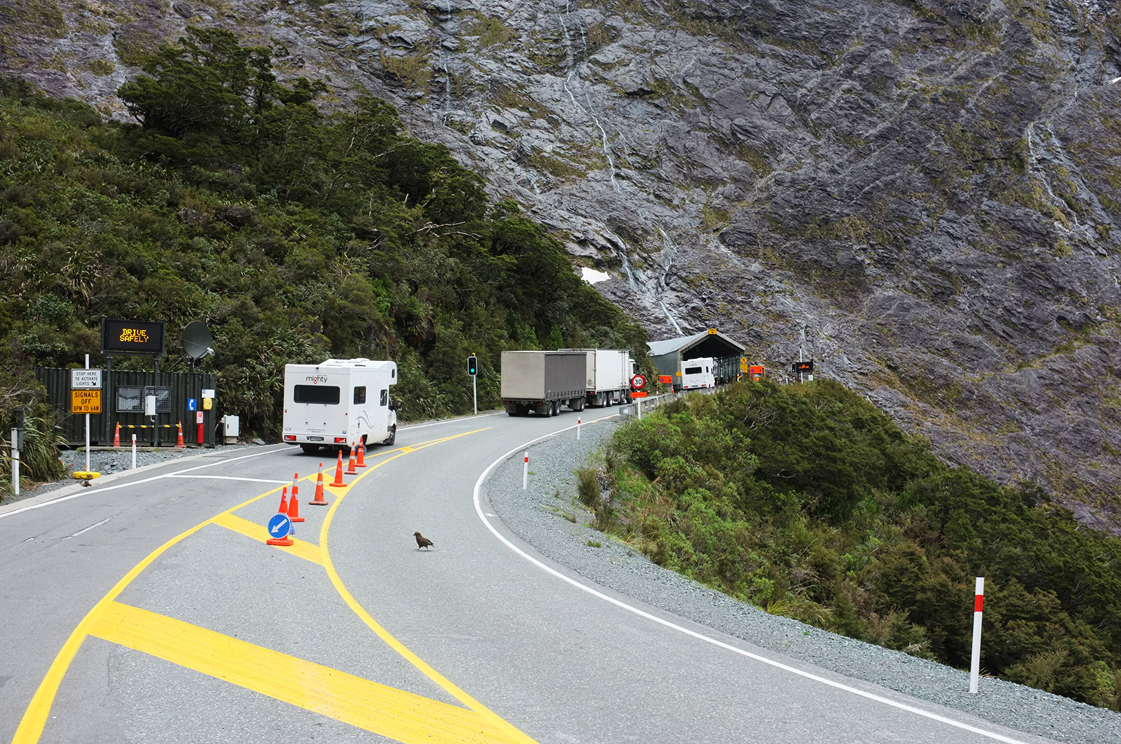 14 Hari Di New Zealand