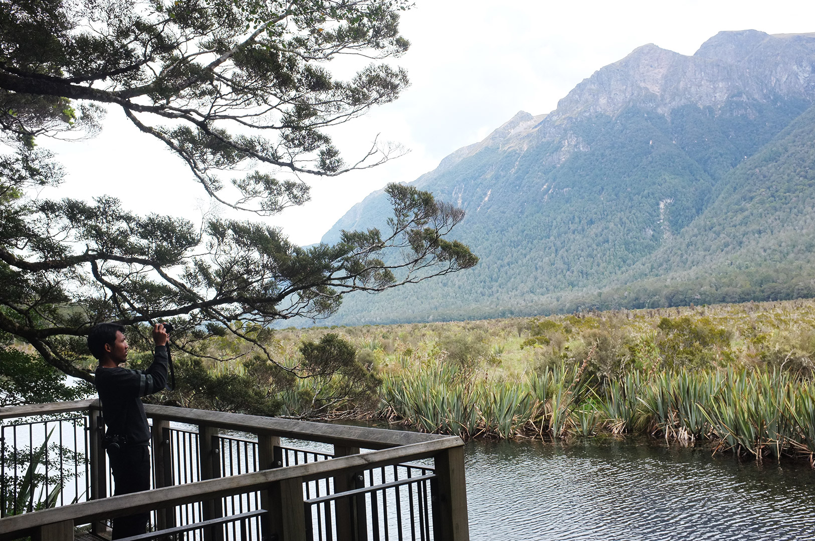 14 Hari Di New Zealand