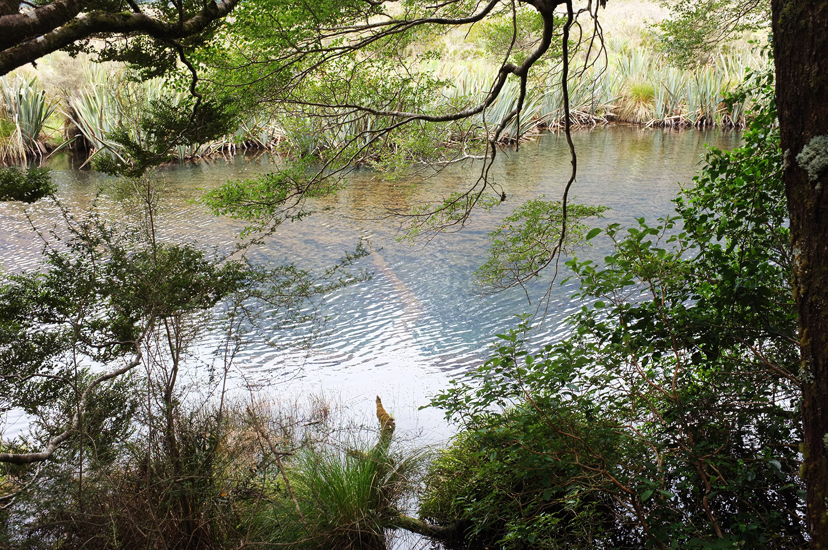 14 Hari Di New Zealand