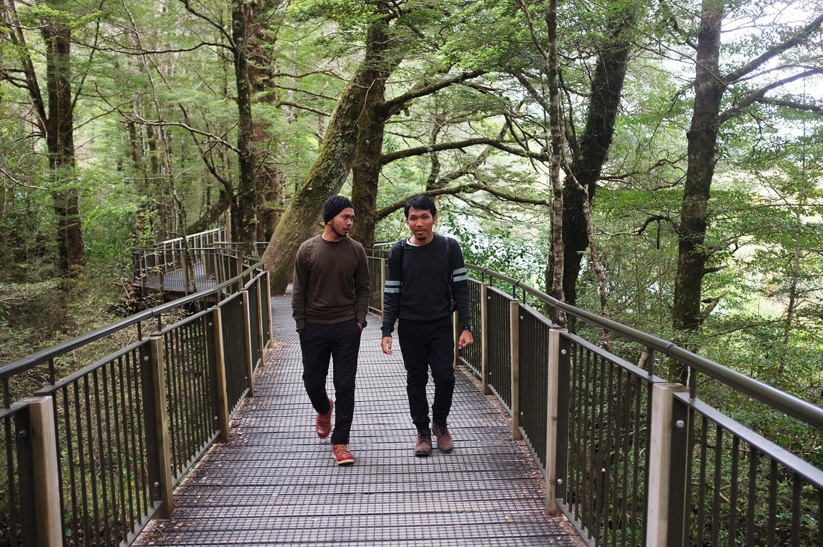 14 Hari Di New Zealand