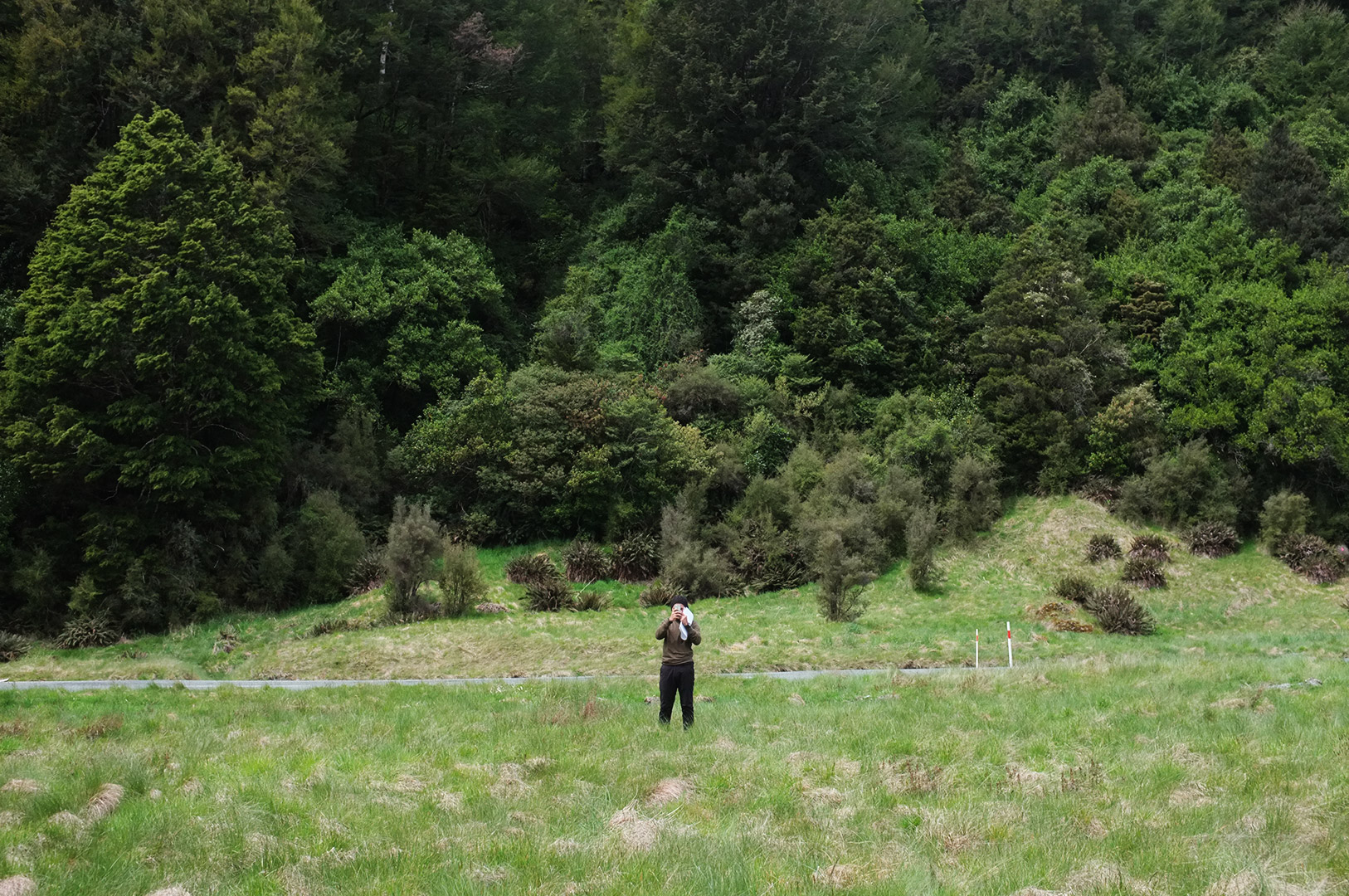 14 Hari Di New Zealand