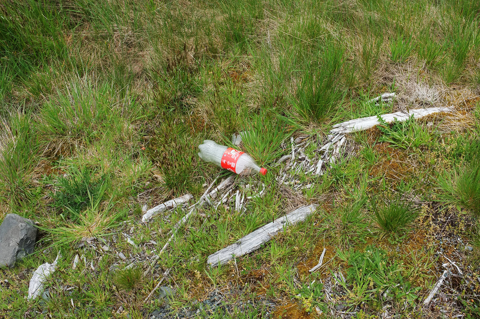 14 Hari Di New Zealand