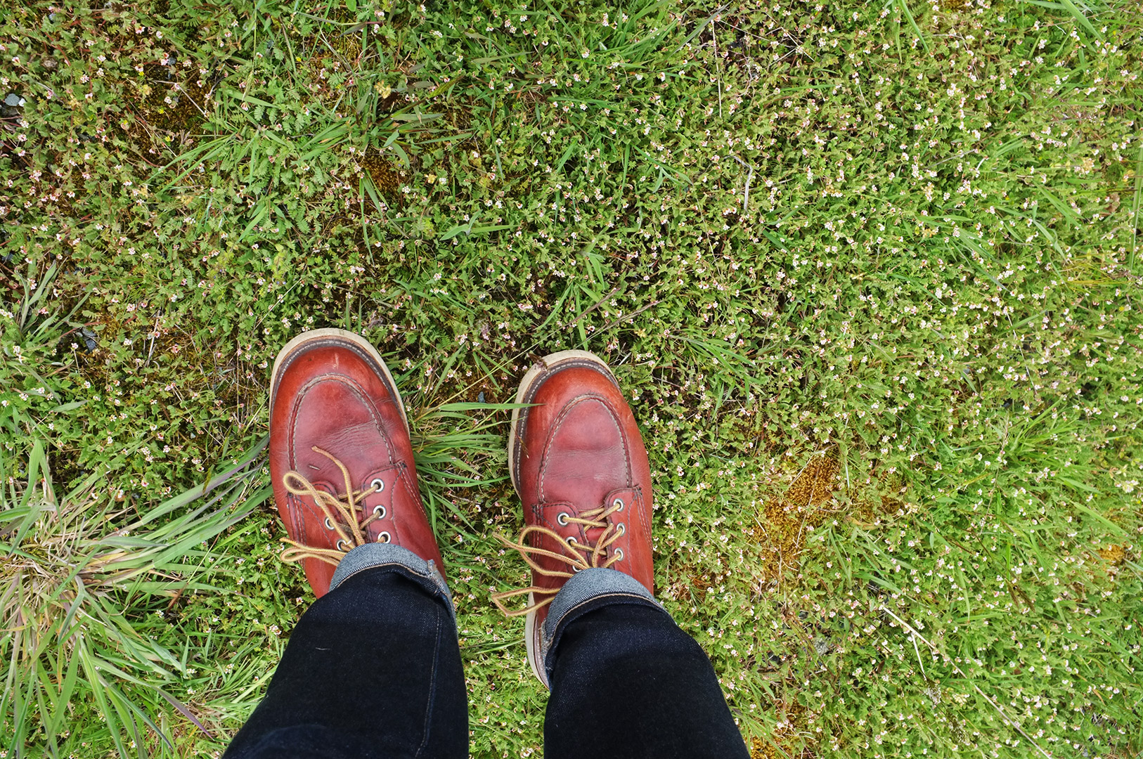 14 Hari Di New Zealand