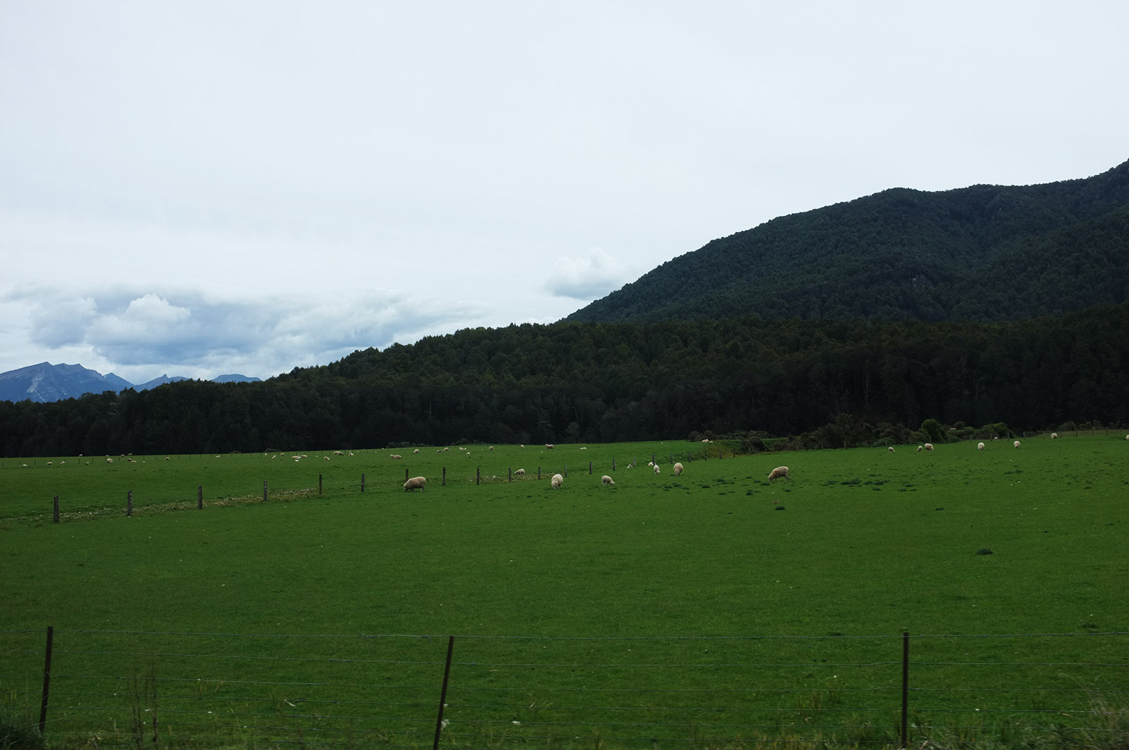 14 Hari Di New Zealand