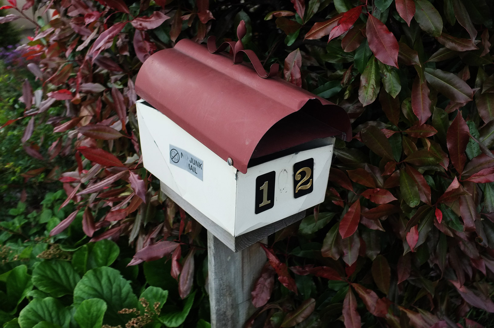 14 Hari Di New Zealand