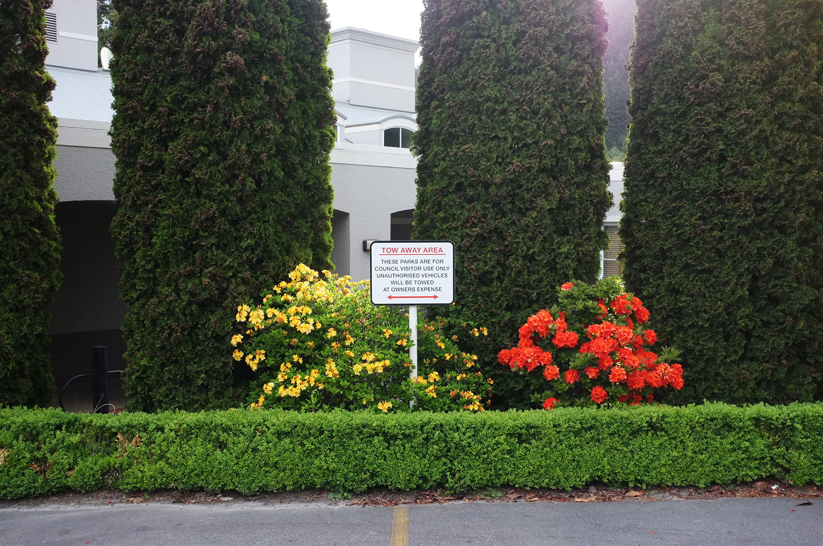 14 Hari Di New Zealand