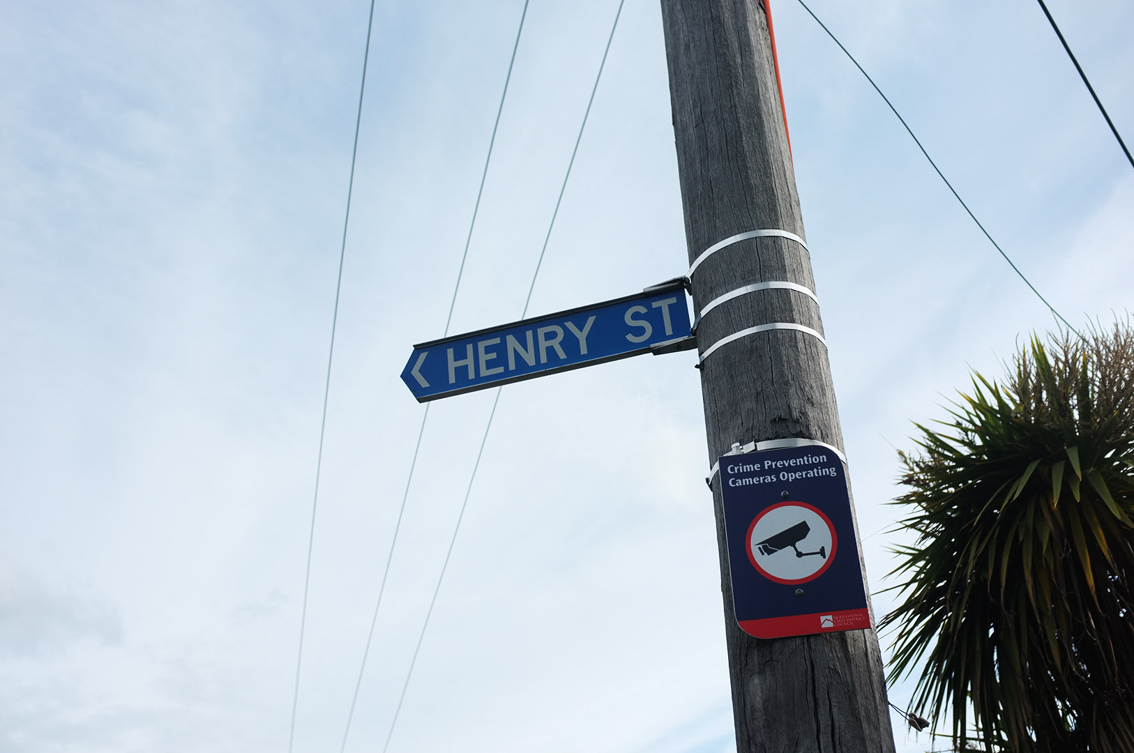 14 Hari Di New Zealand