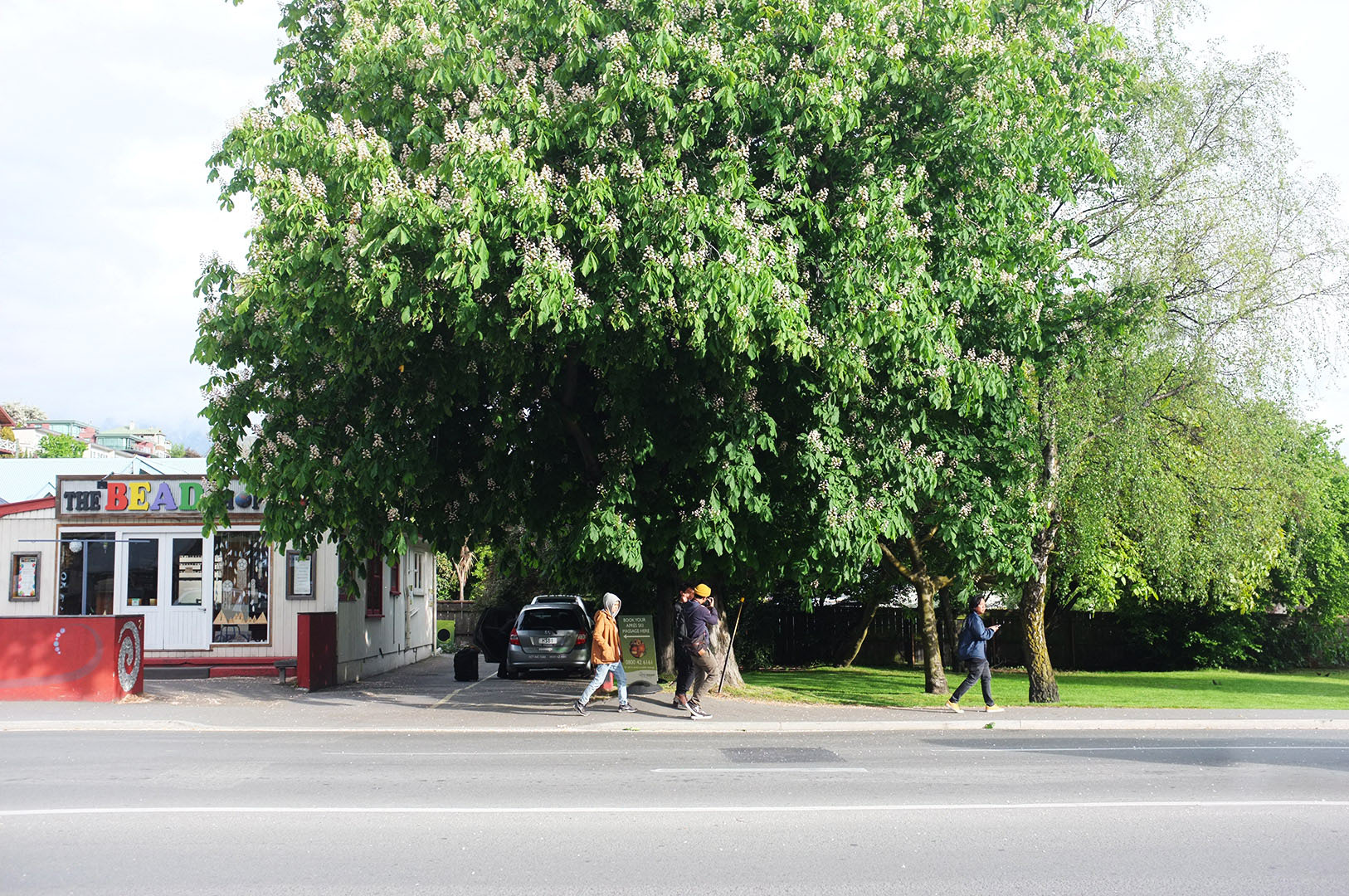 14 Hari Di New Zealand