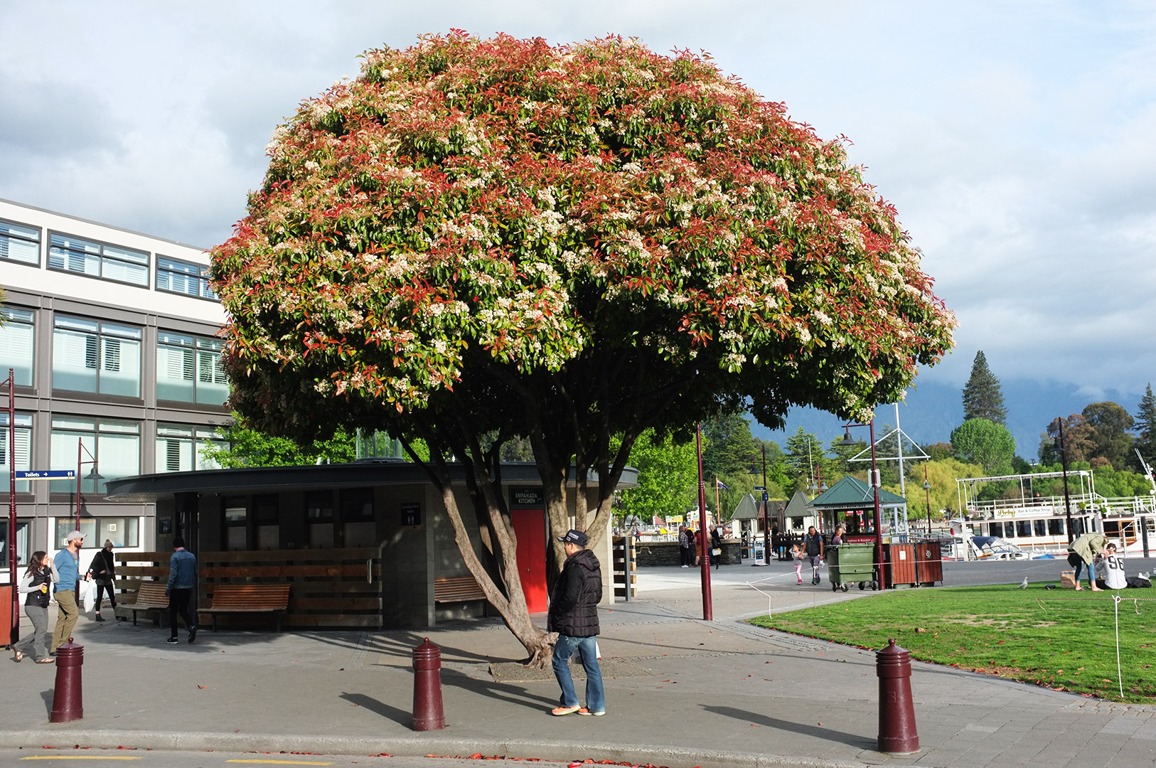 14 Hari Di New Zealand