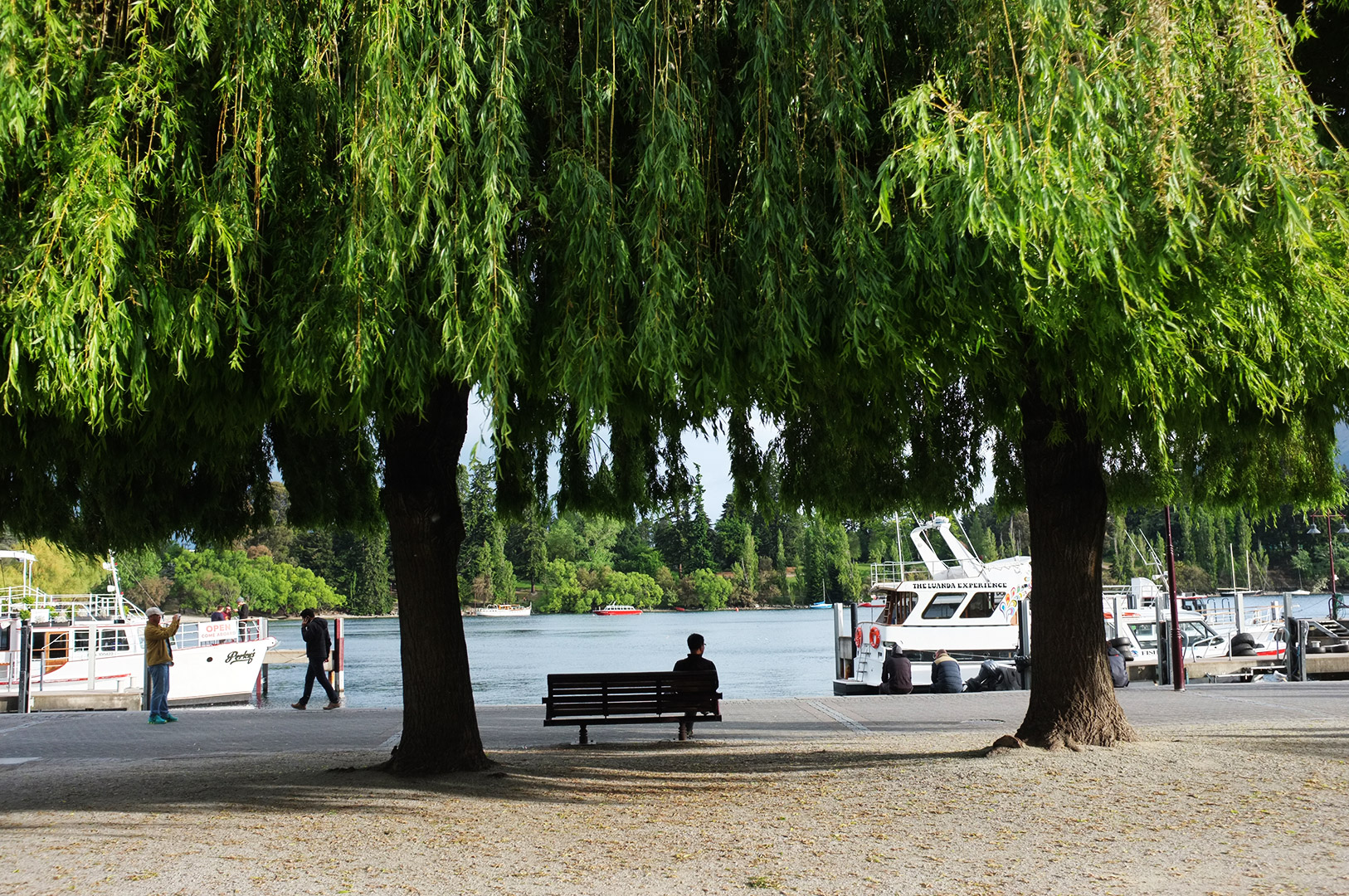 14 Hari Di New Zealand