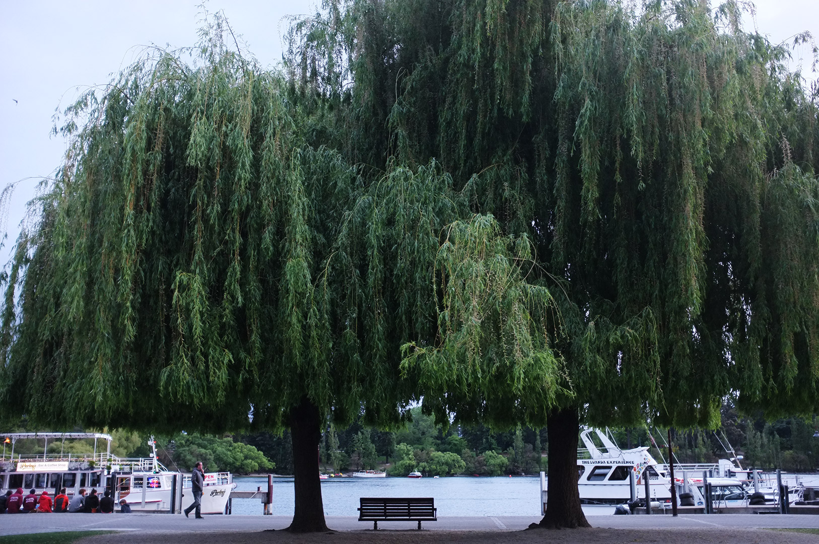 14 Hari Di New Zealand