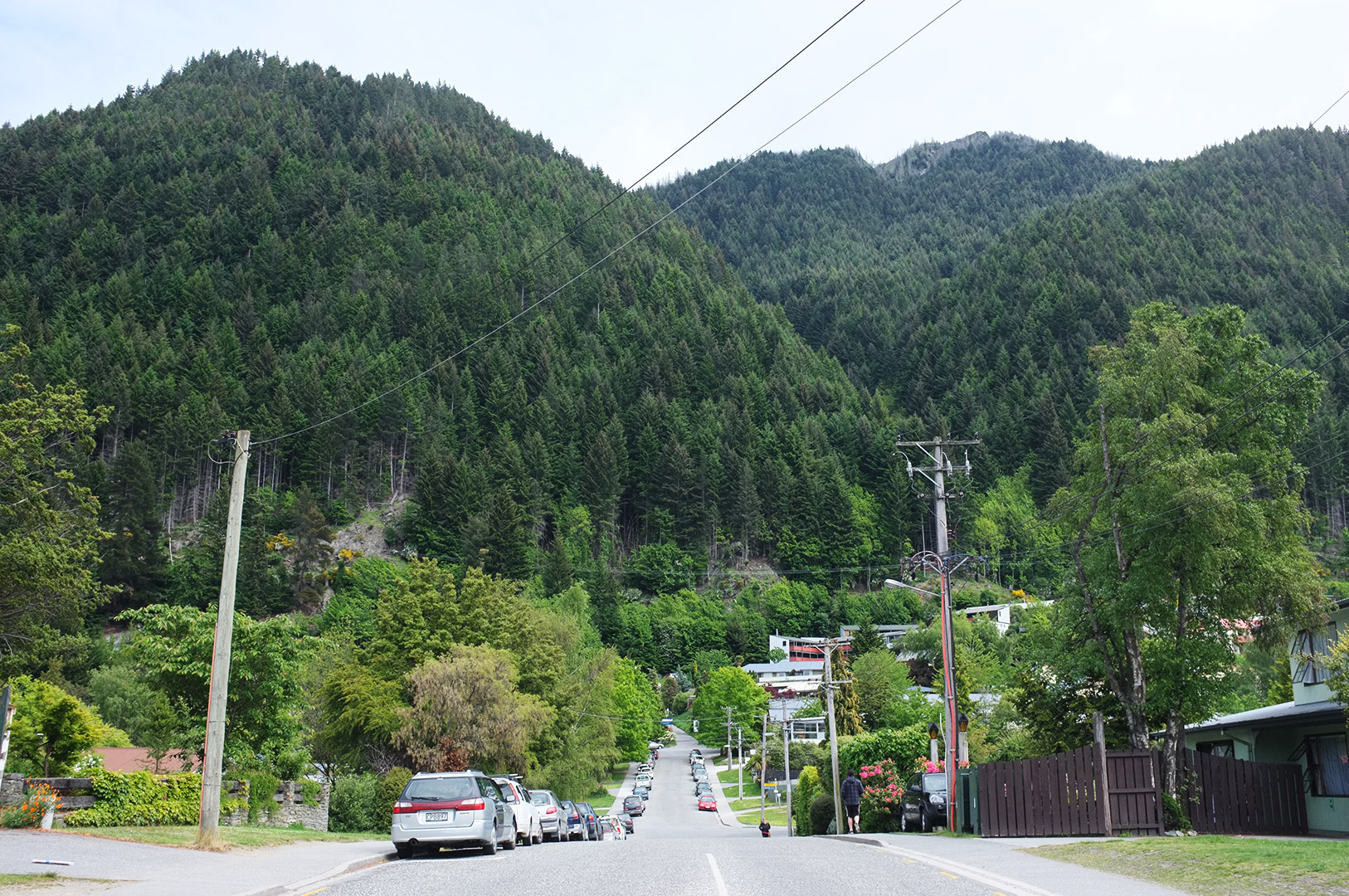 14 Hari Di New Zealand