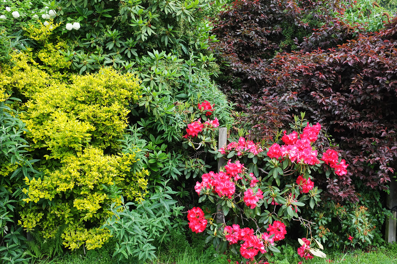 14 Hari Di New Zealand